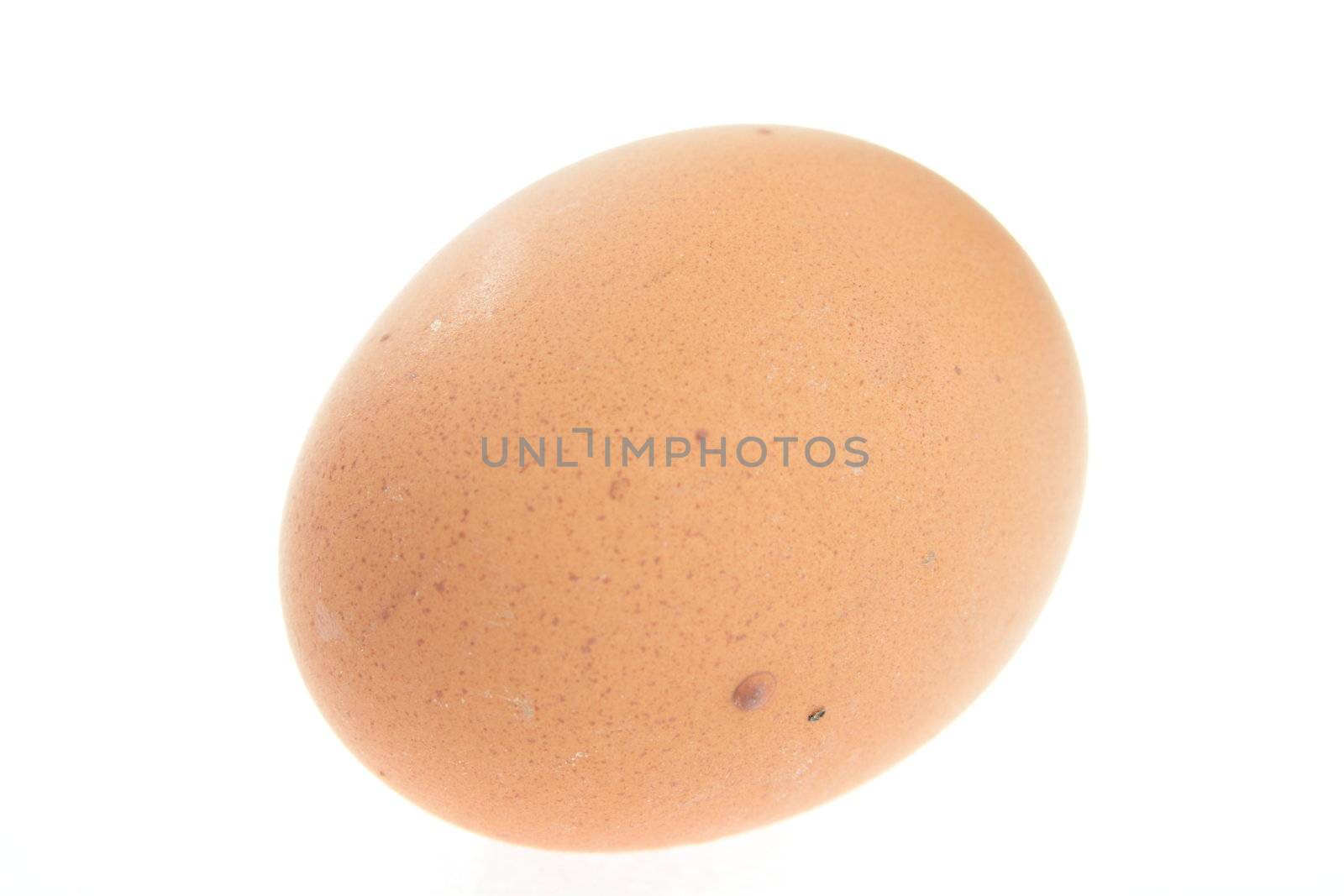 Chicken egg isolated on white background