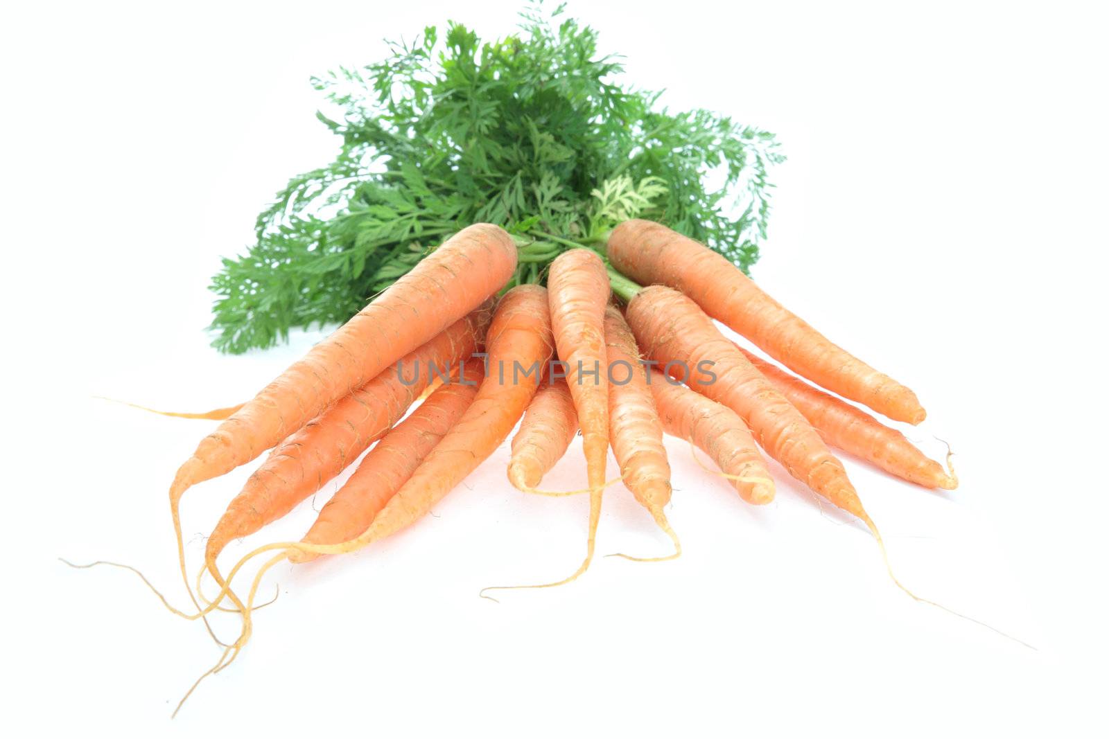 Fresch carrot isolated on white background