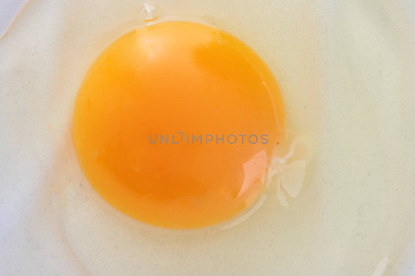 Raw diffuse egg