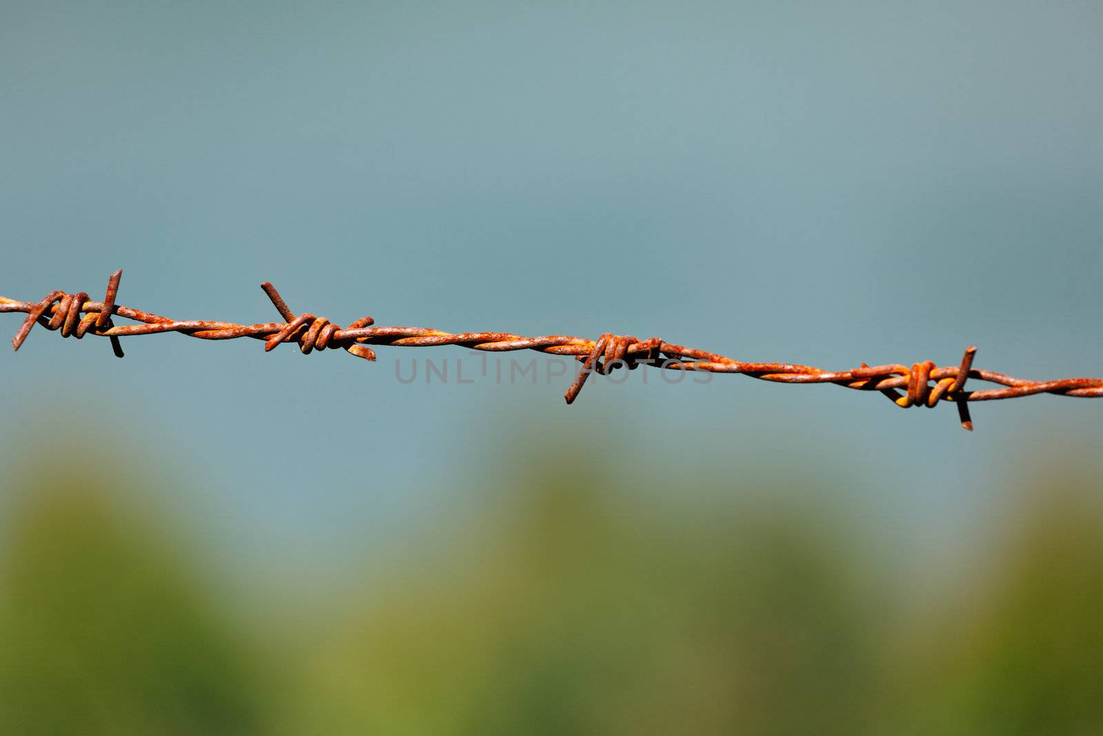 Steel barbed wire by dimol