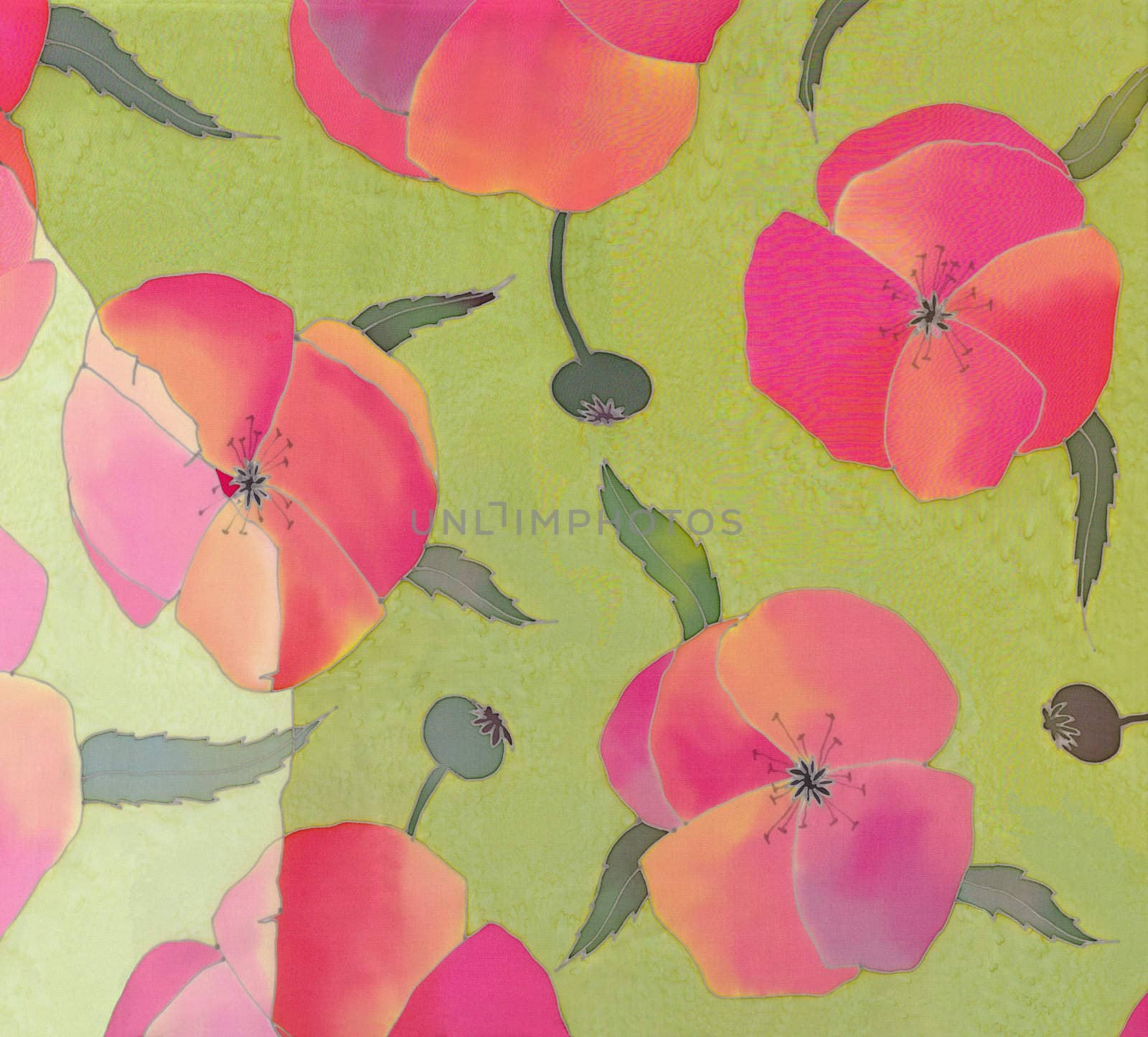 poppies background by vergasova