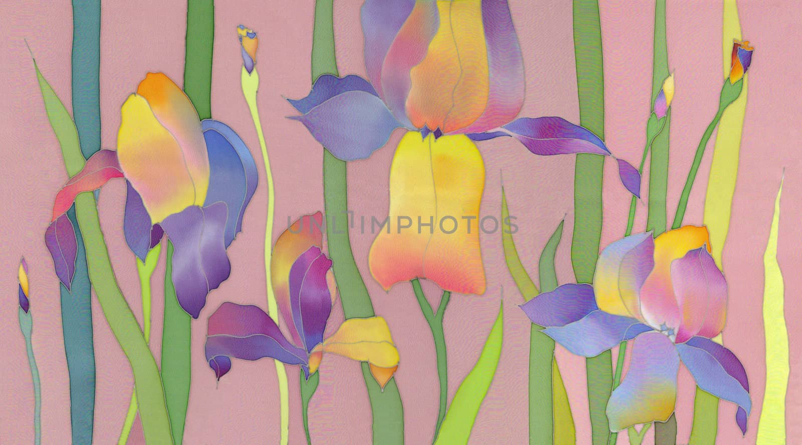 iris background by vergasova