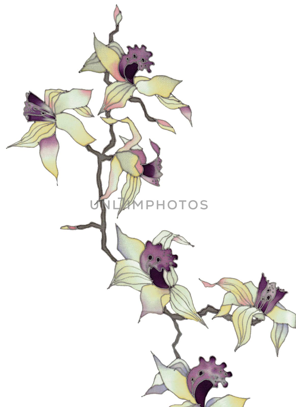 Image of my artwork with a orchid branch on white background 