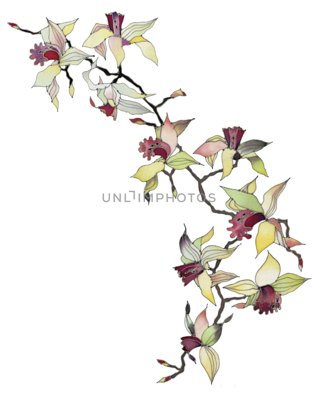 Image of my artwork with a orchid branch isolated on white background