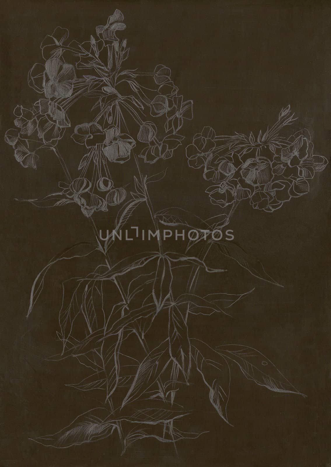Image of my artwork with a flower on dark background