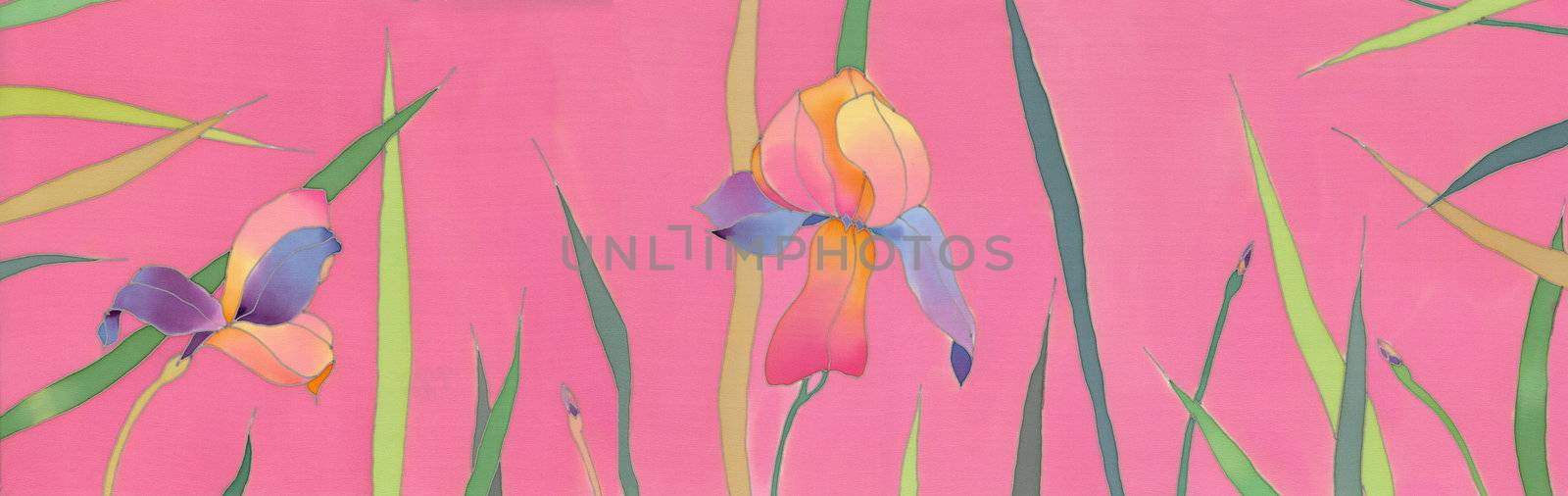 irises background by vergasova