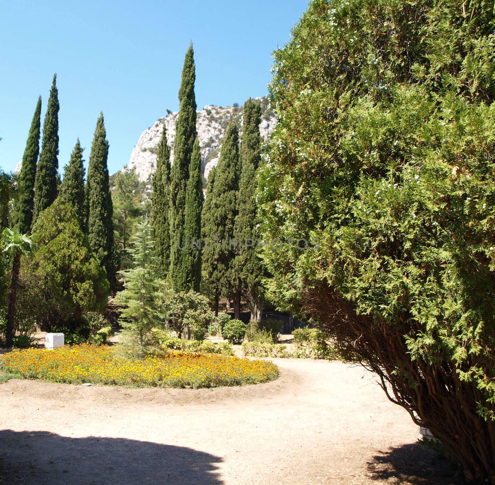 Park