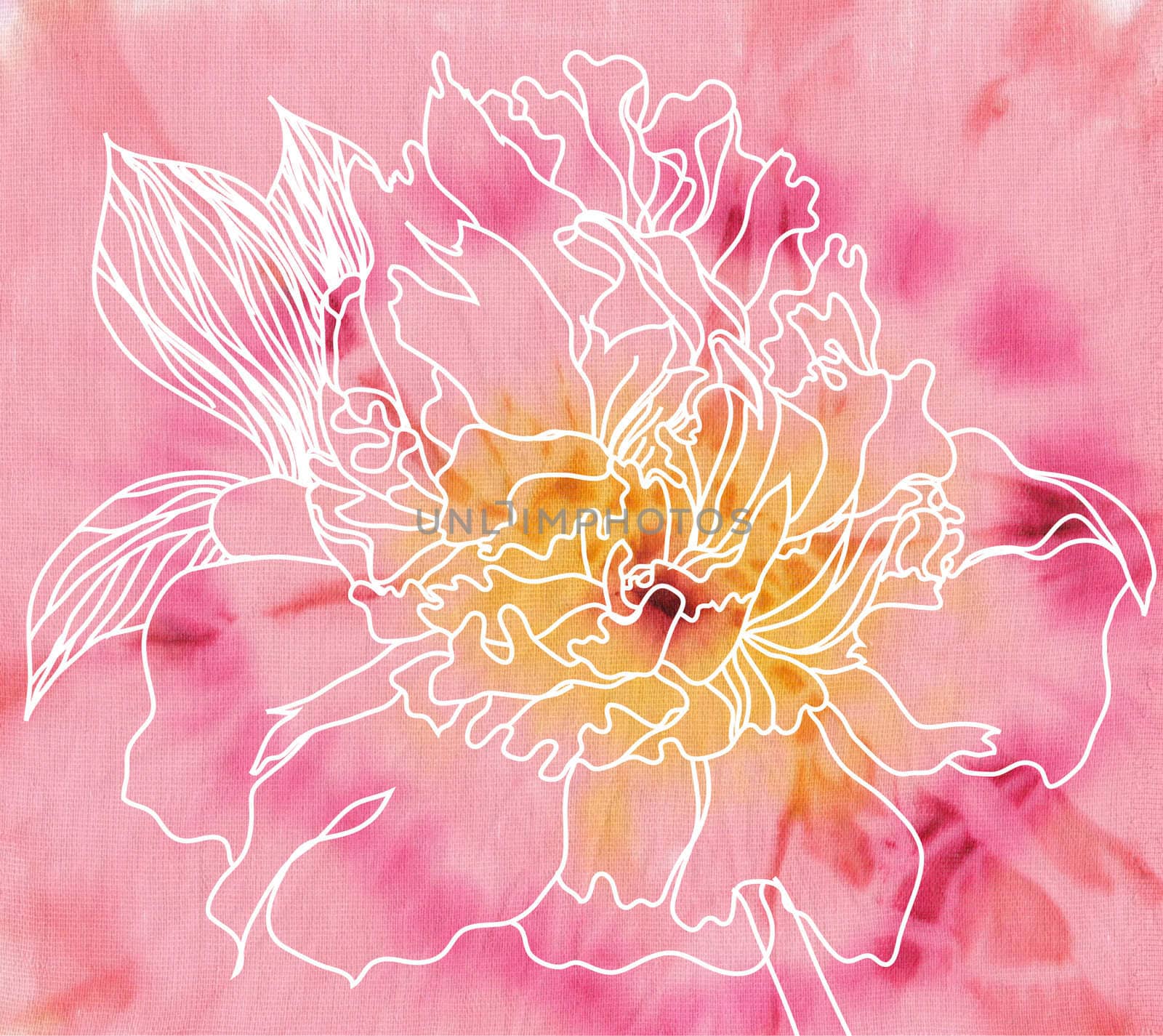 peony flower on batik background by vergasova