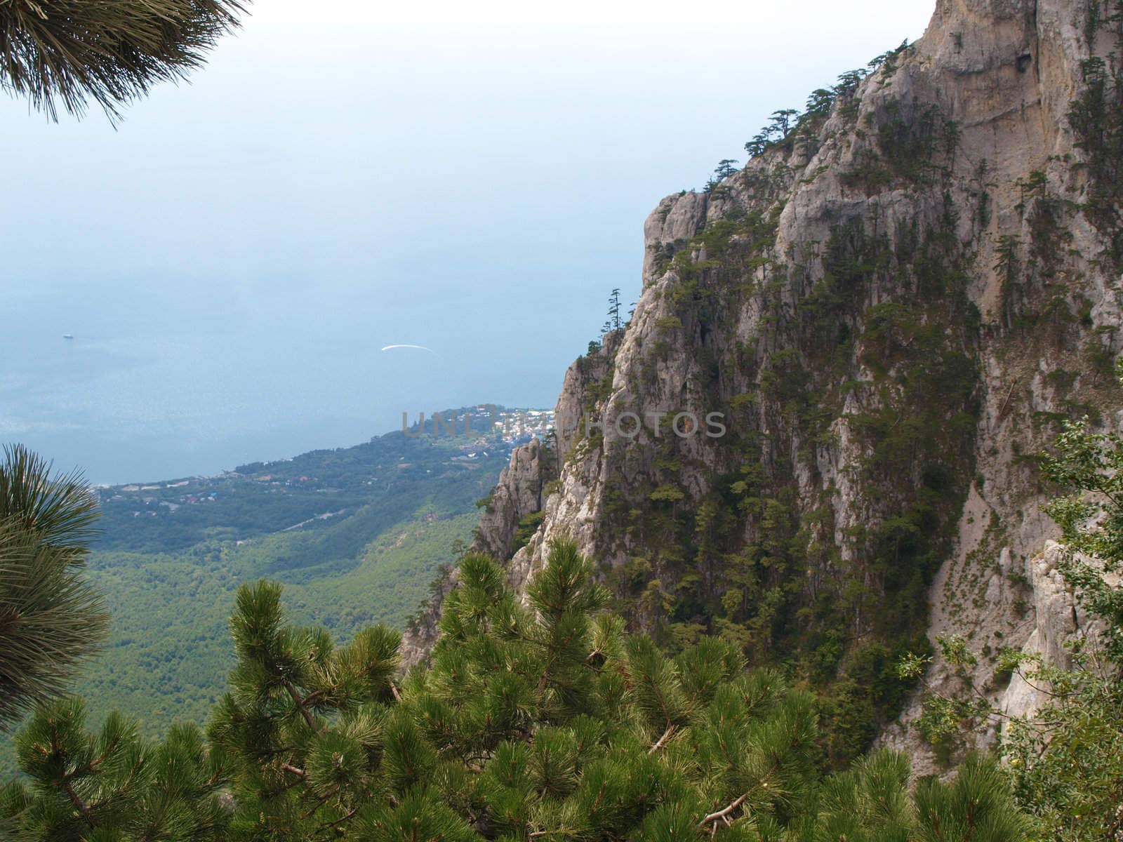 mountain landscape view with trees and rocks 
