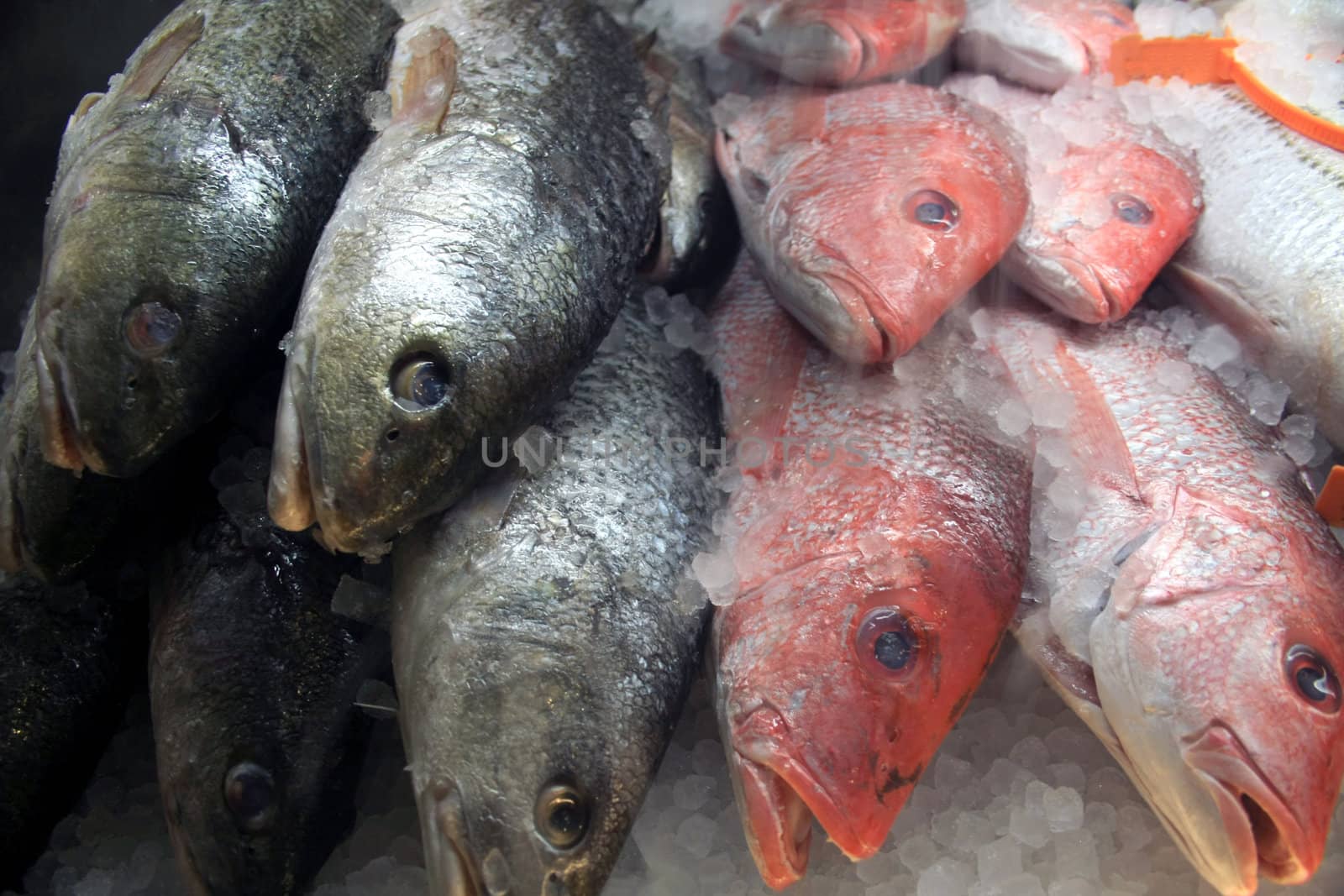 A stack of fish at a fish market