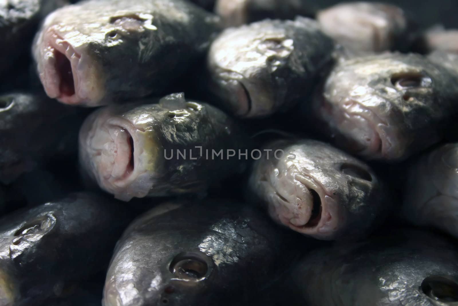 A stack of fish at a fish market.