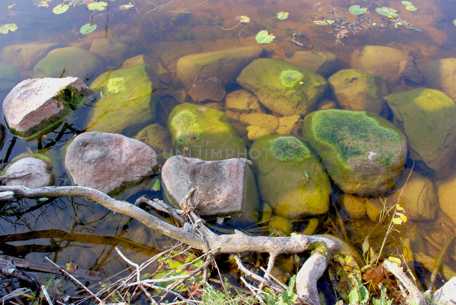 Beautiful stones in coast of lake. Nice sunny day.