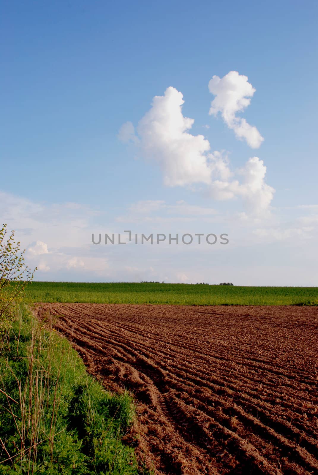 Freshly dug field surrounded by meadow in sunny day.