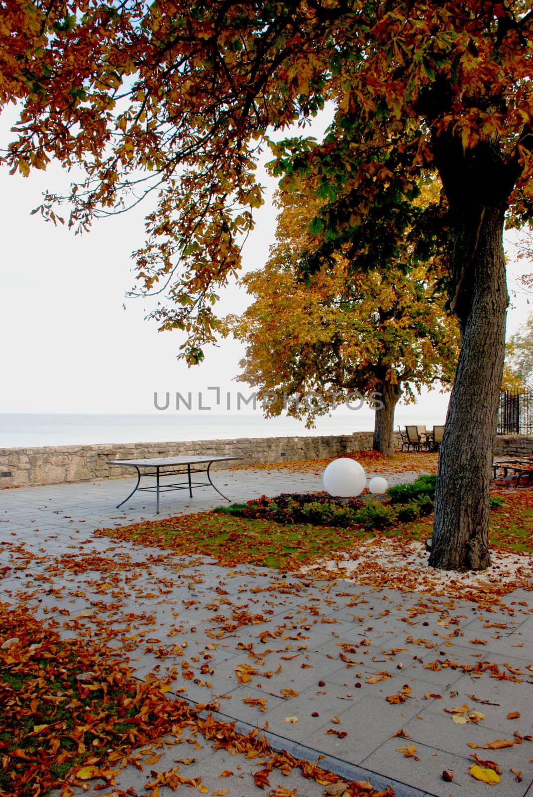 There are only leaves and wind left in late autumn seaside villas