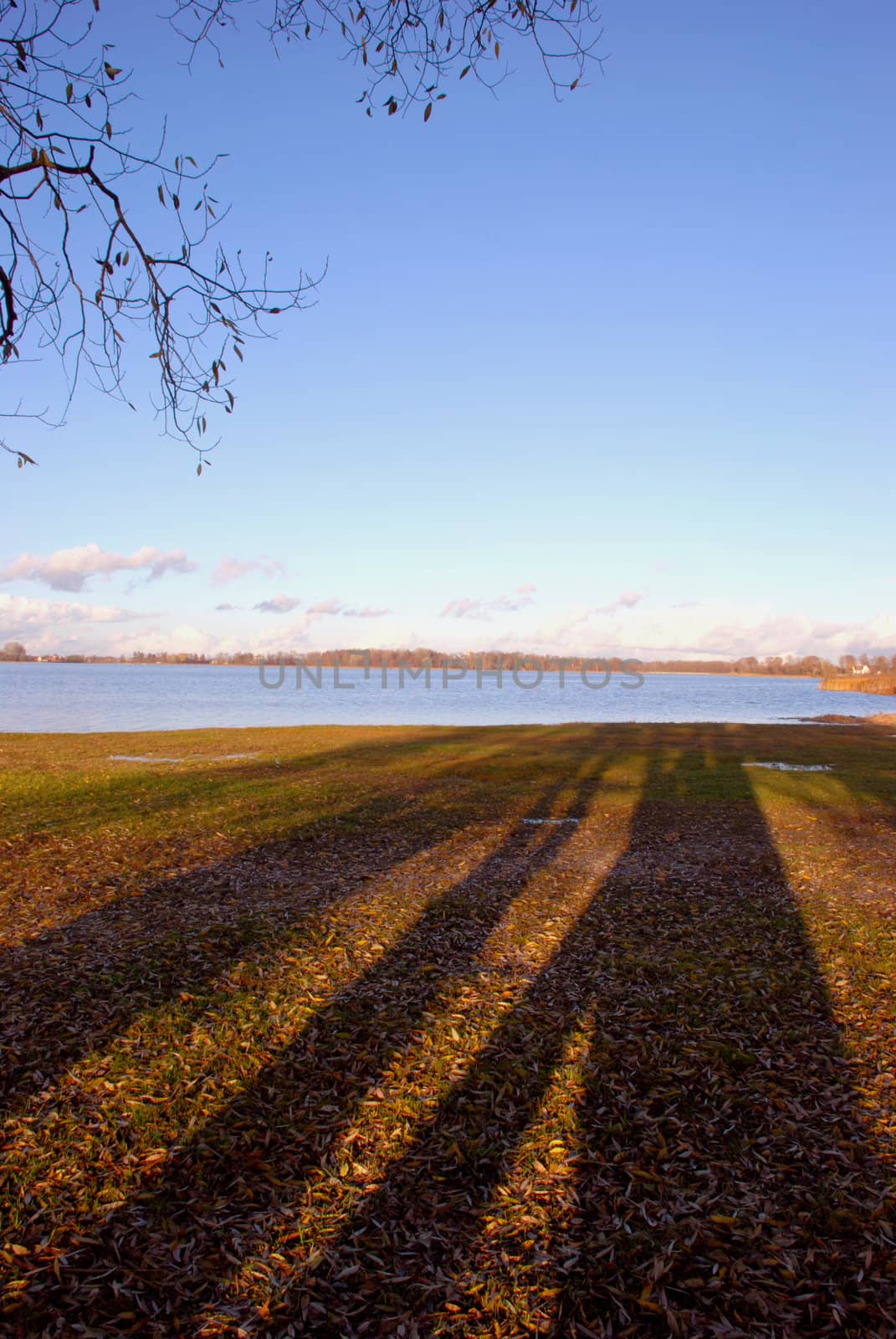 Evening shadows tries to swim in the lake