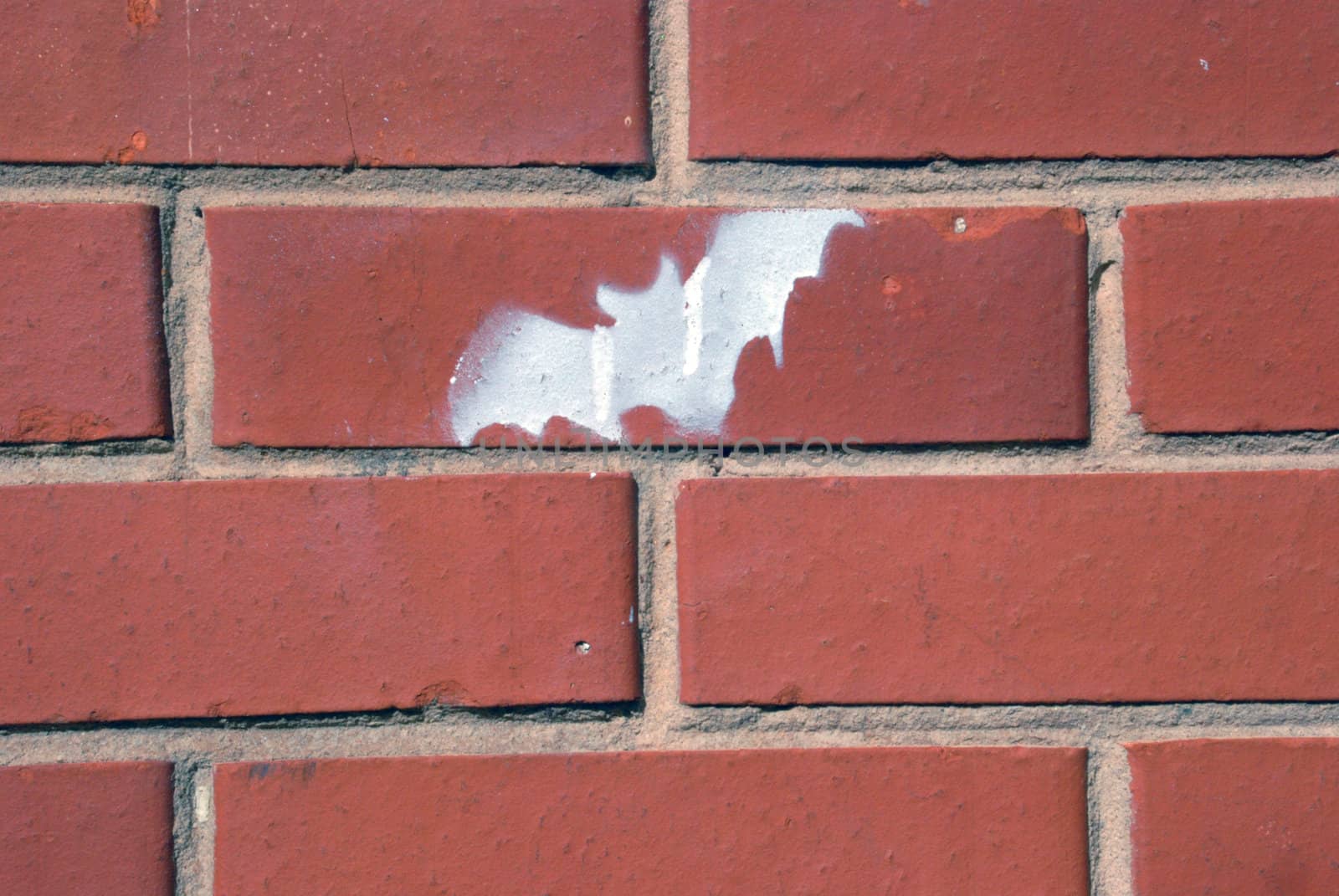 Painted bat - uncommon hero graffiti on the walls
