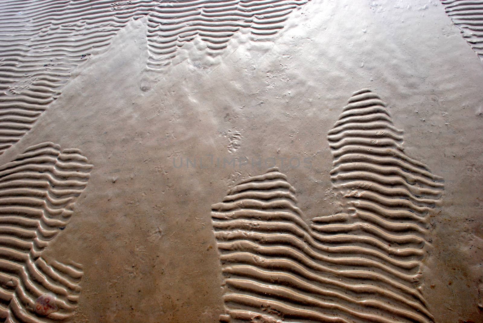 Waves of the sea leave their imprints and on beach sands.