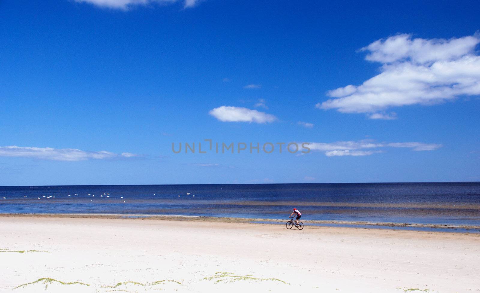 Cycling near the sea by sauletas