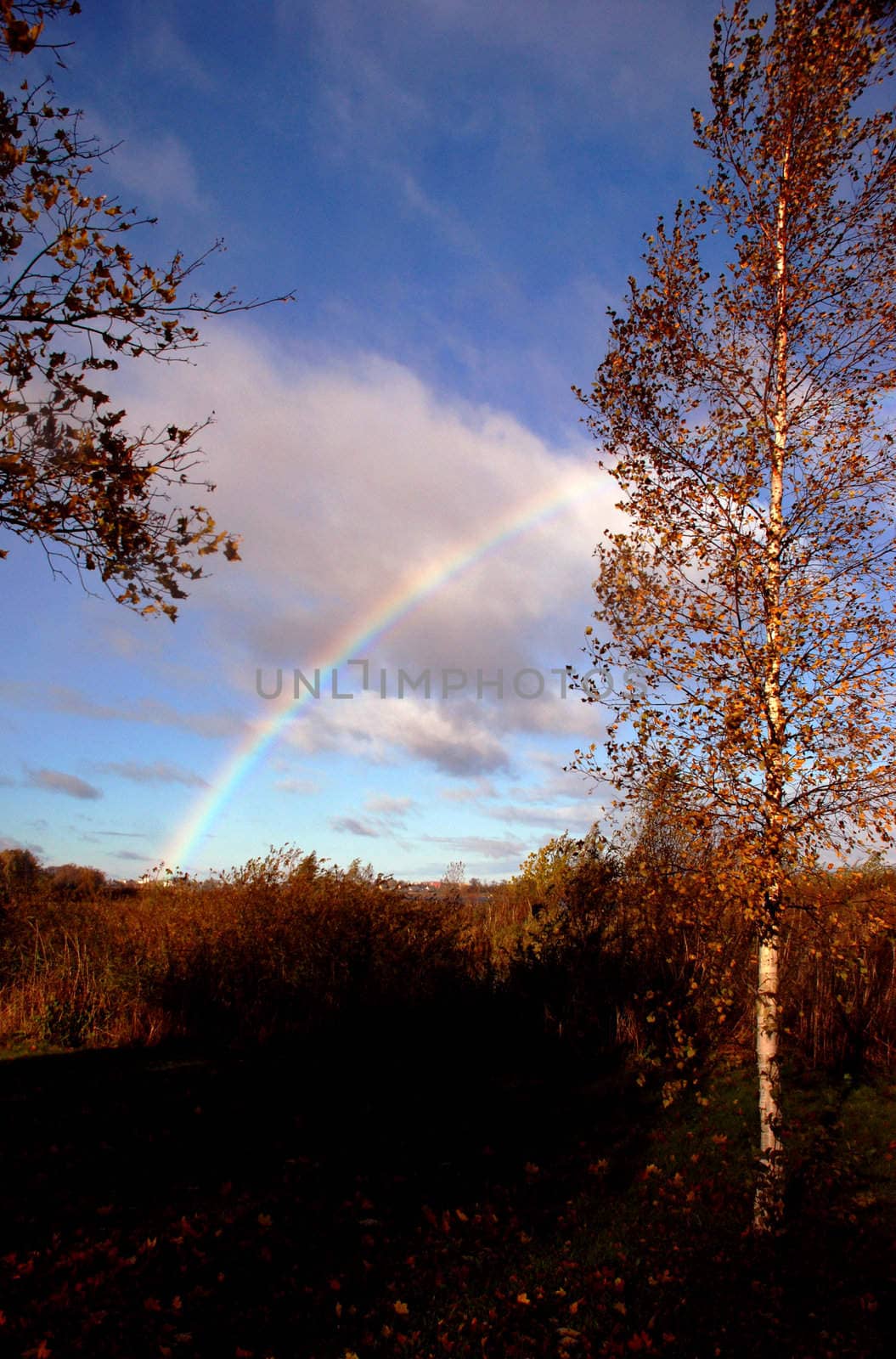 Beautiful rainbow between colorful autumn trees and fields