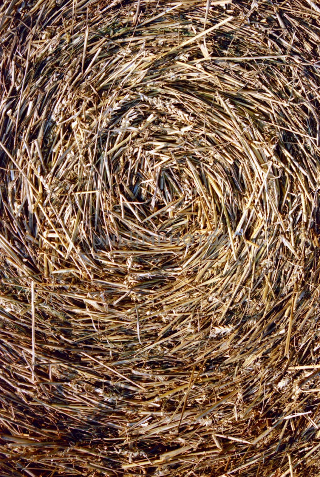 Close-up of straw bales. Spiral texture.