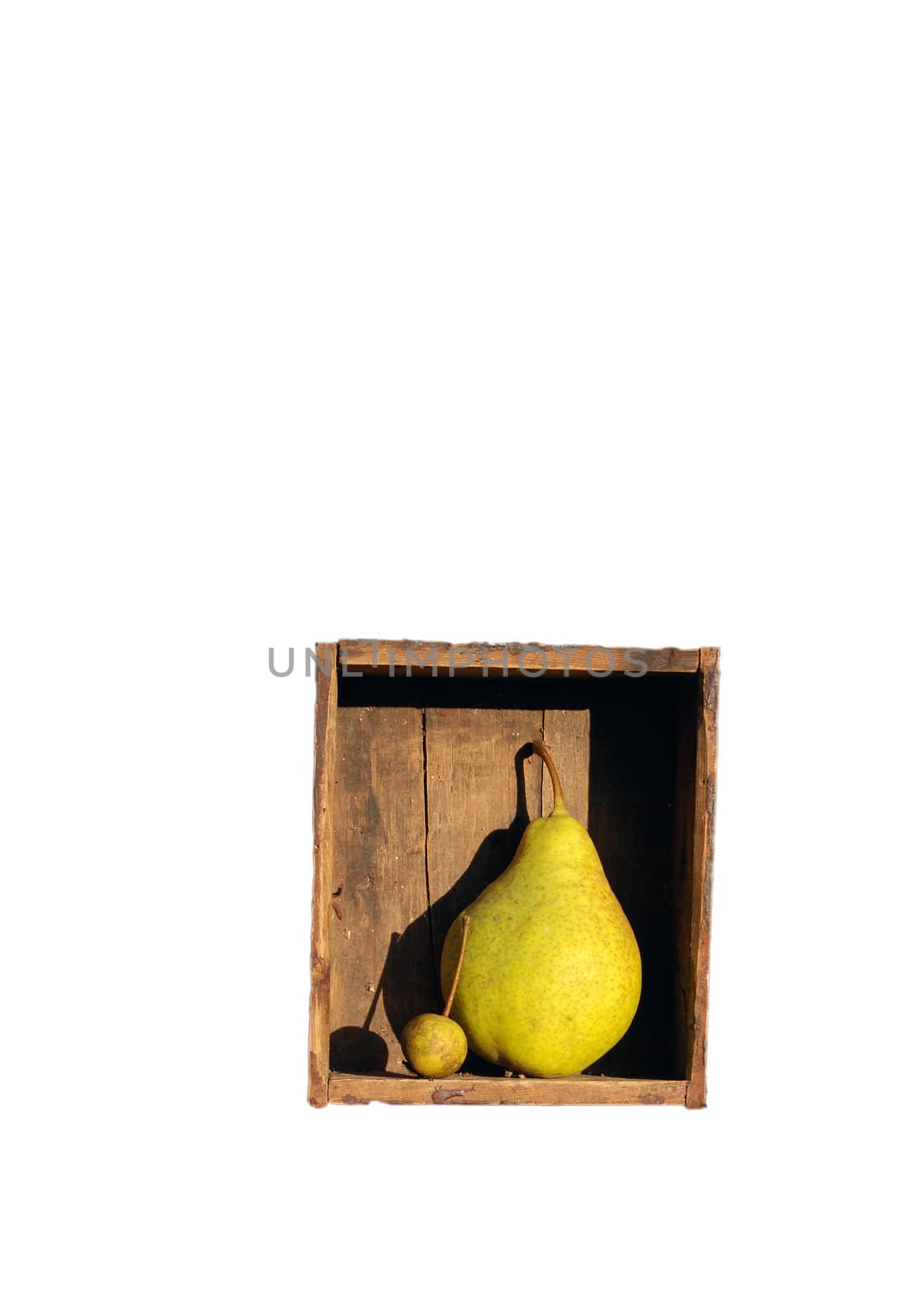 Big and small pears in old box in white background