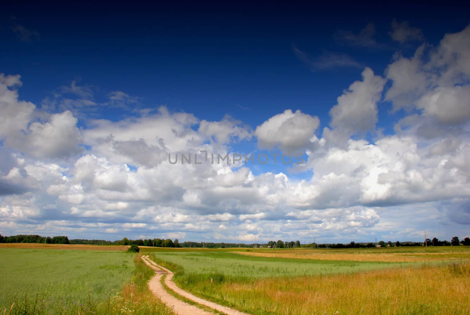 Road through the fields by sauletas