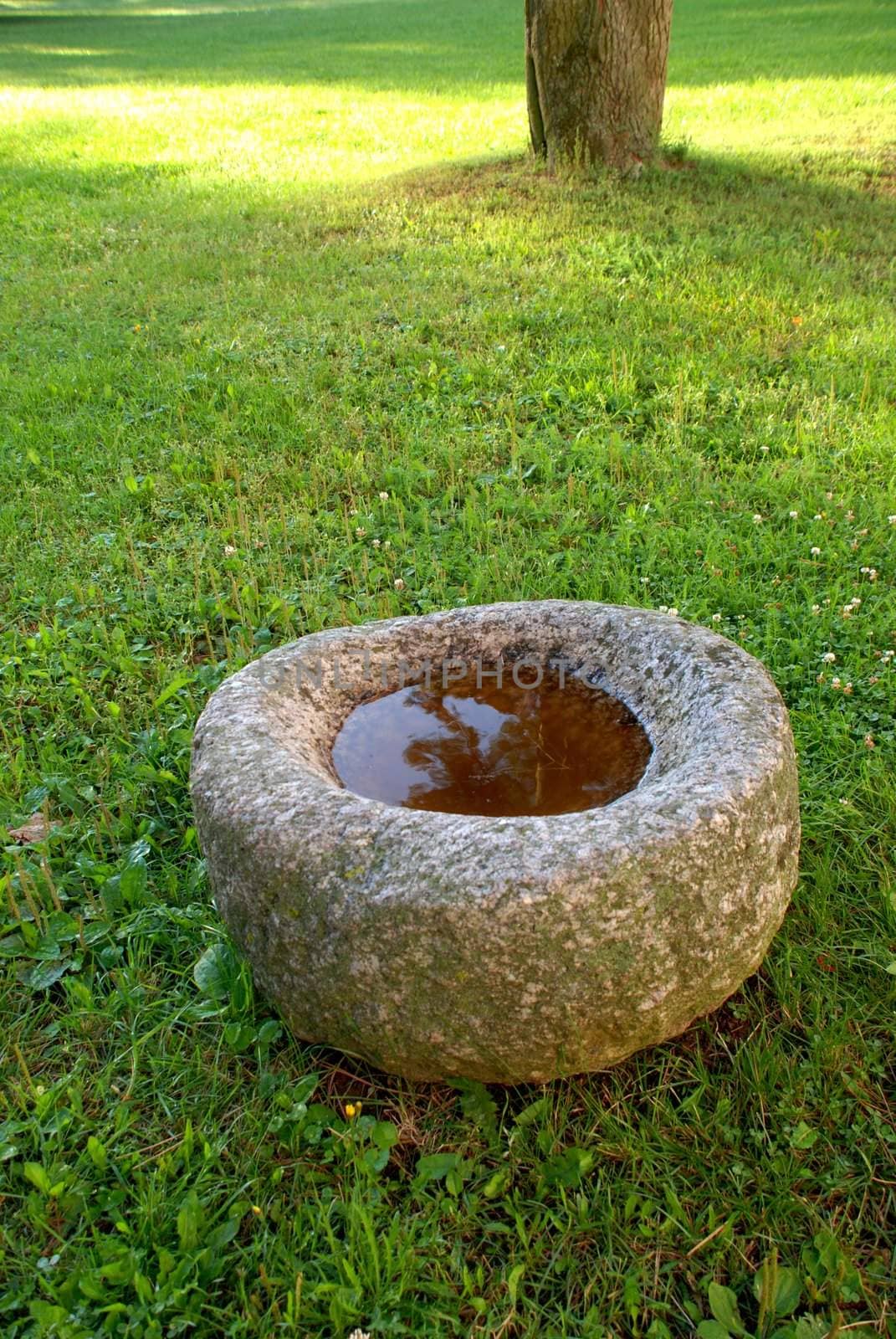 Ancient stone with the pool in the hollow