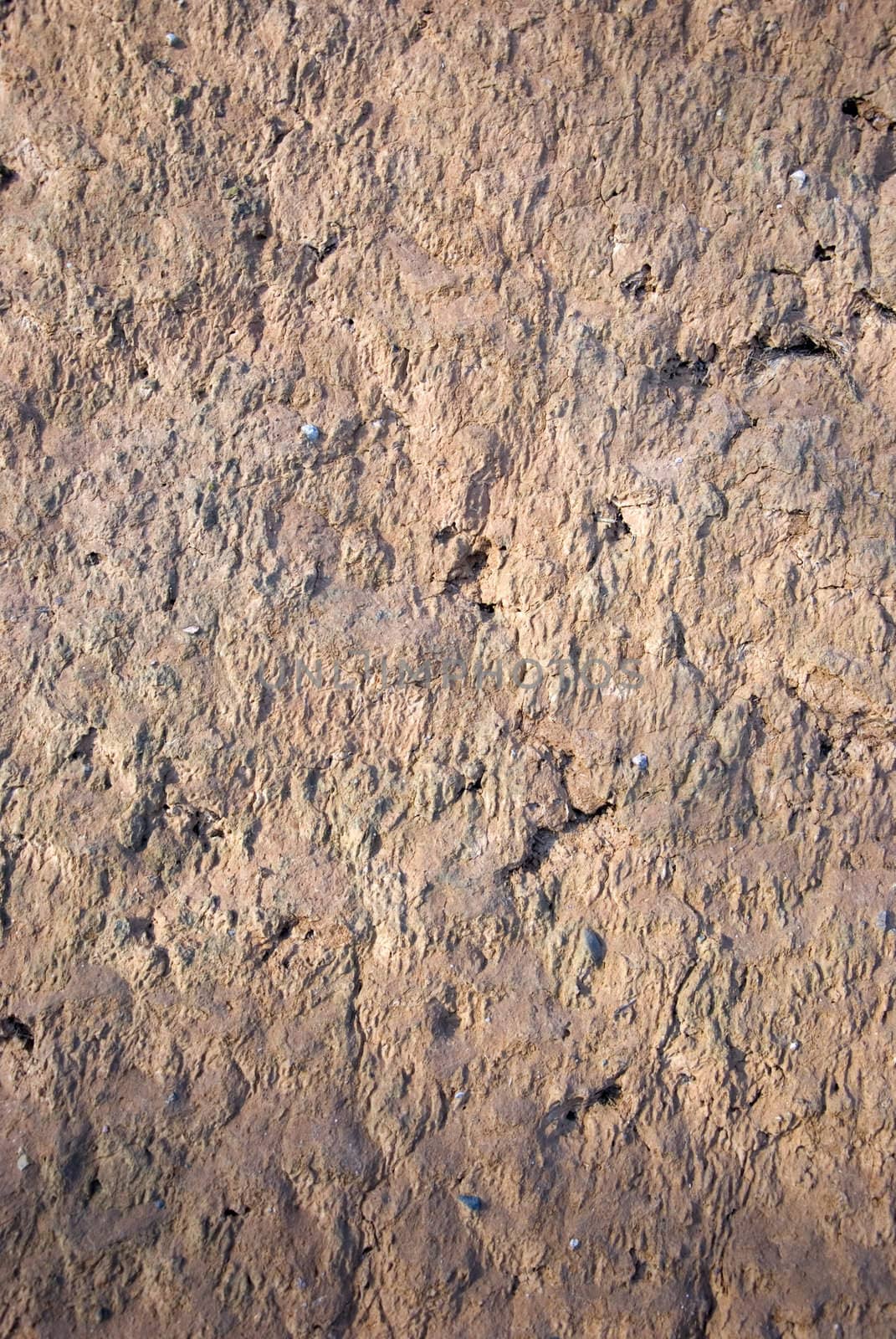 Wall made of clay by sauletas