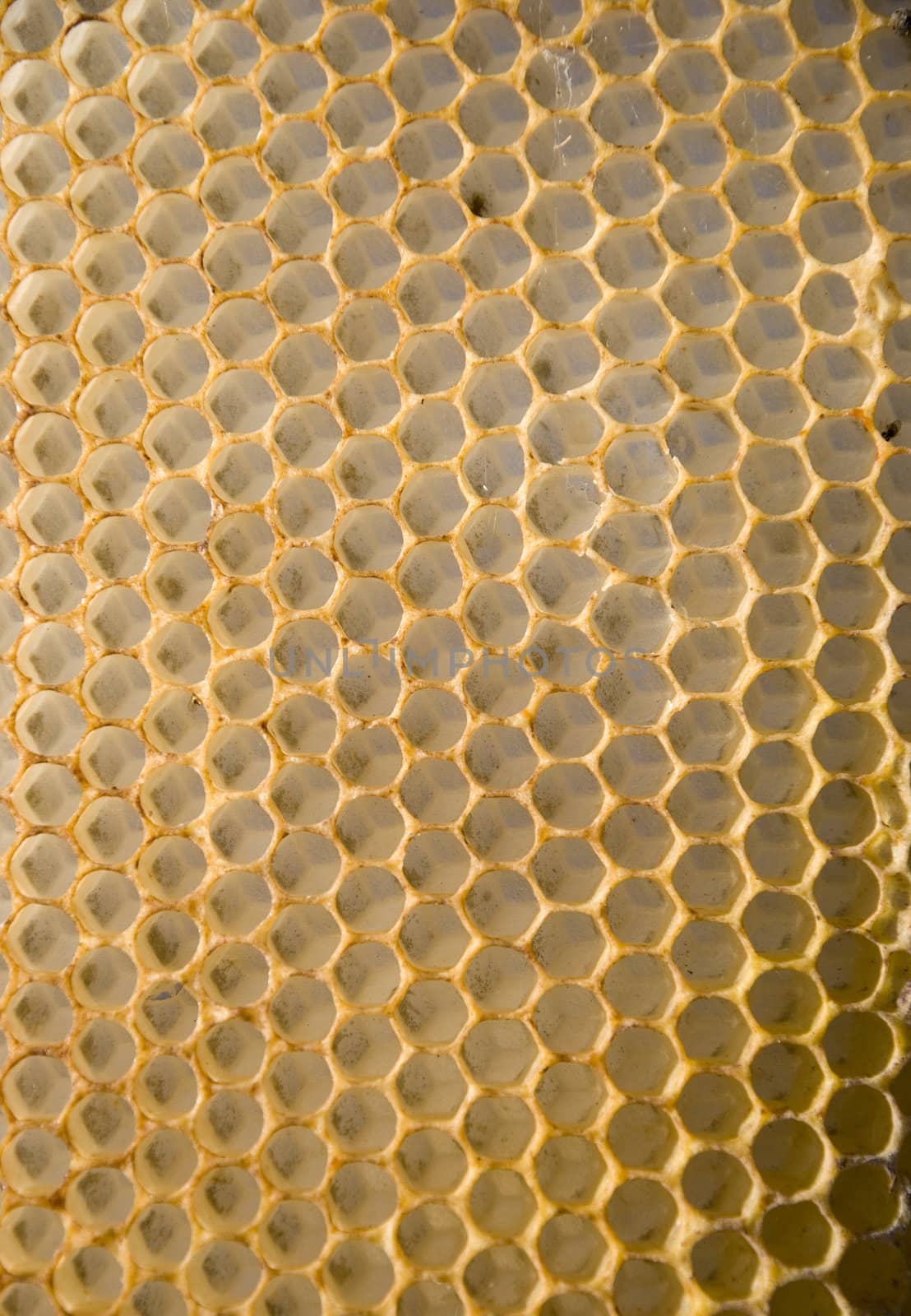 Honeycomb mesh by sauletas