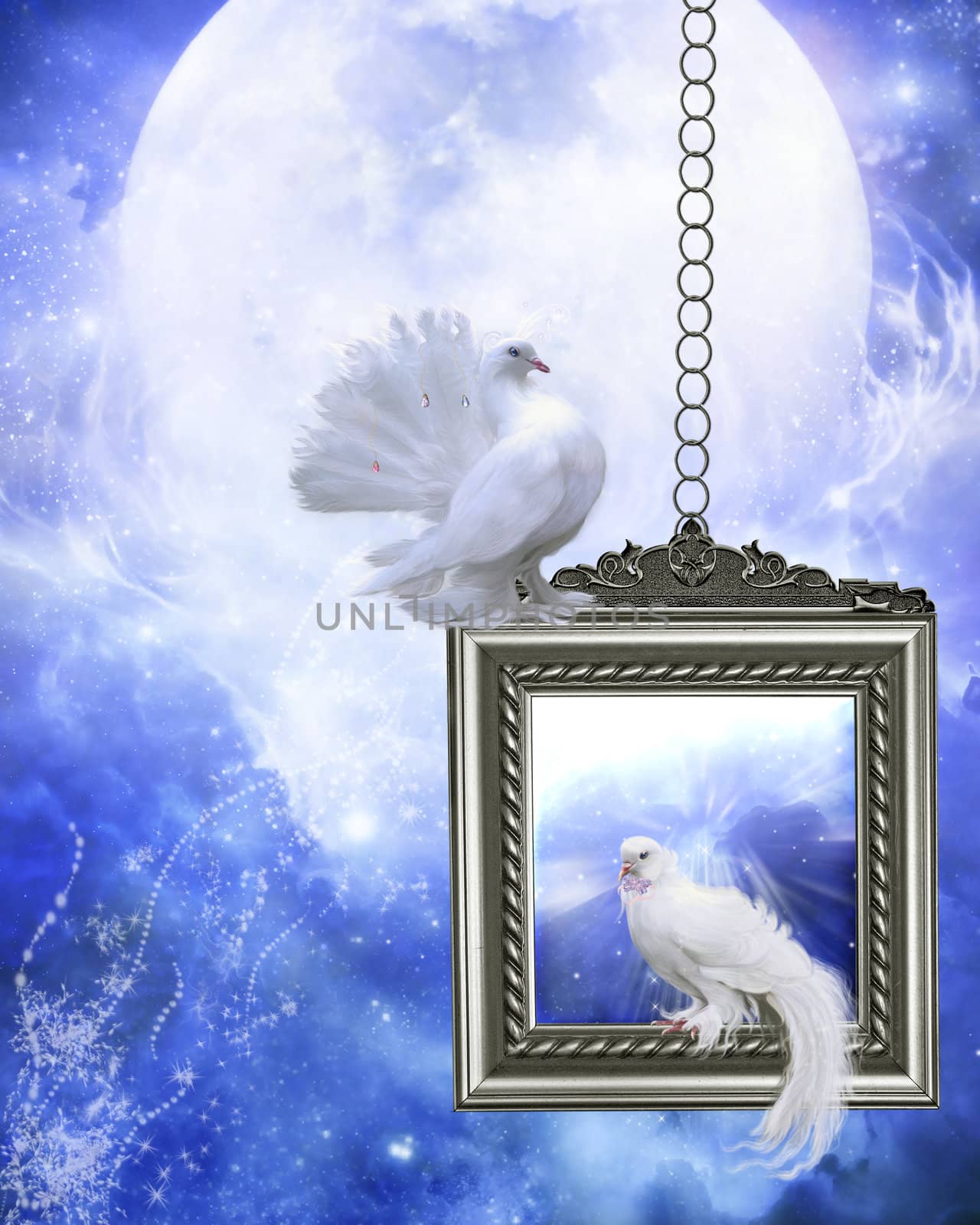peace dove sitting on a picture frame