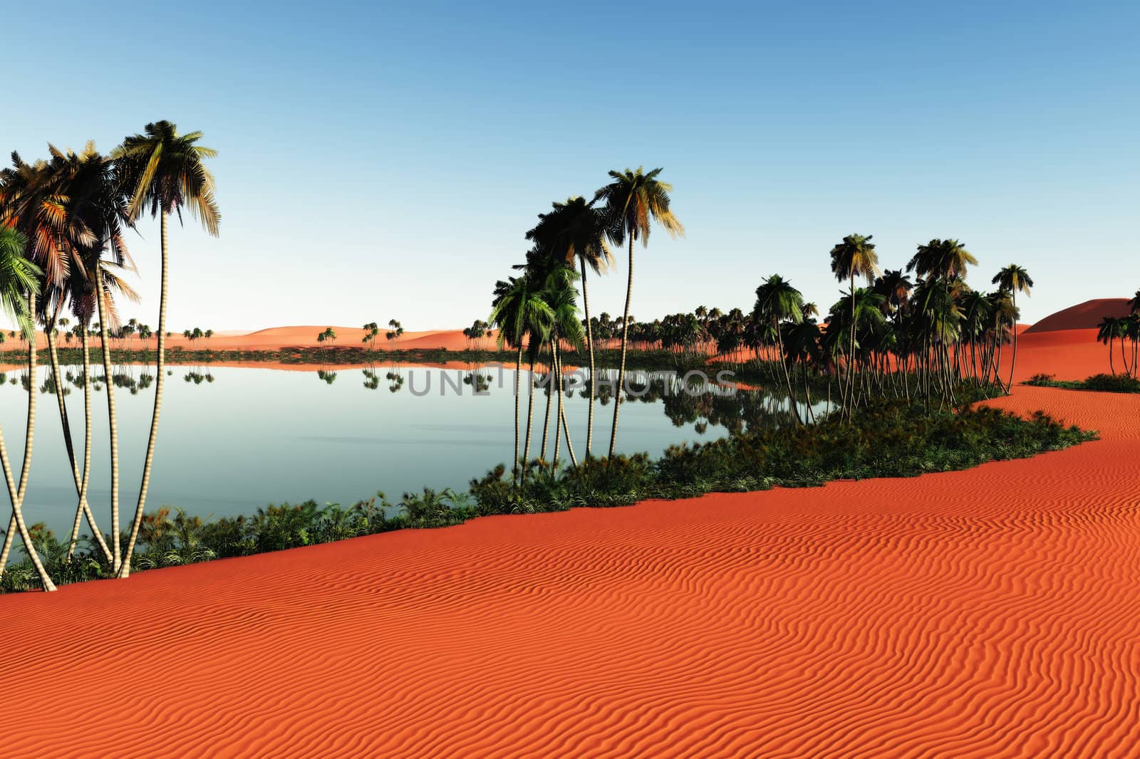 Landscape picture of a beautiful Sahara with a small lake and palm trees