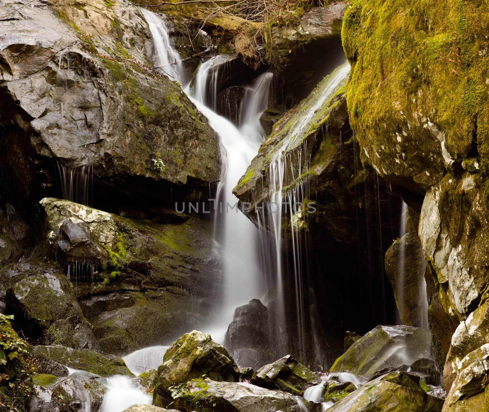 Place of a Thousand Drips in Smokies by steheap