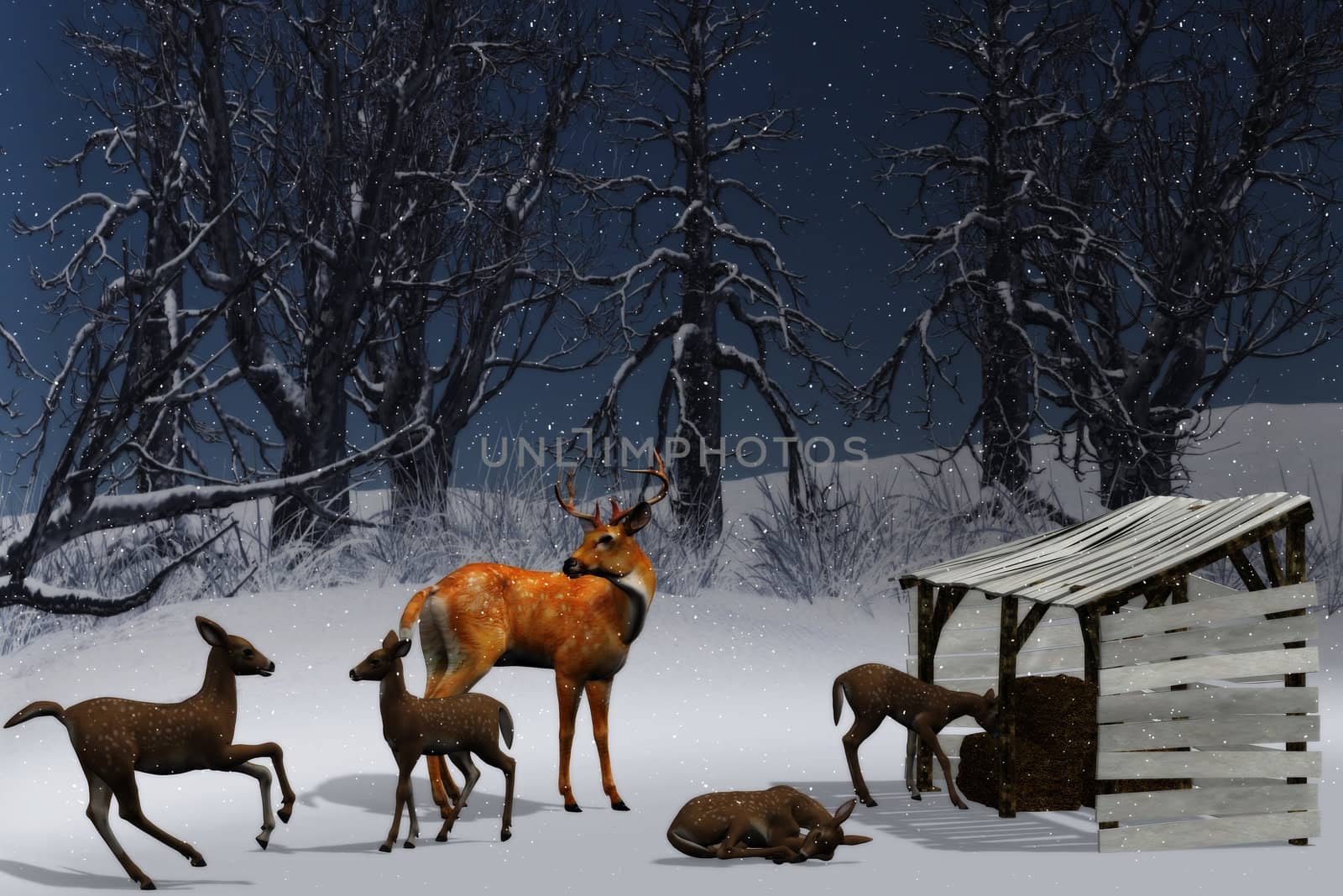 Feeding of deer in a winter landscape