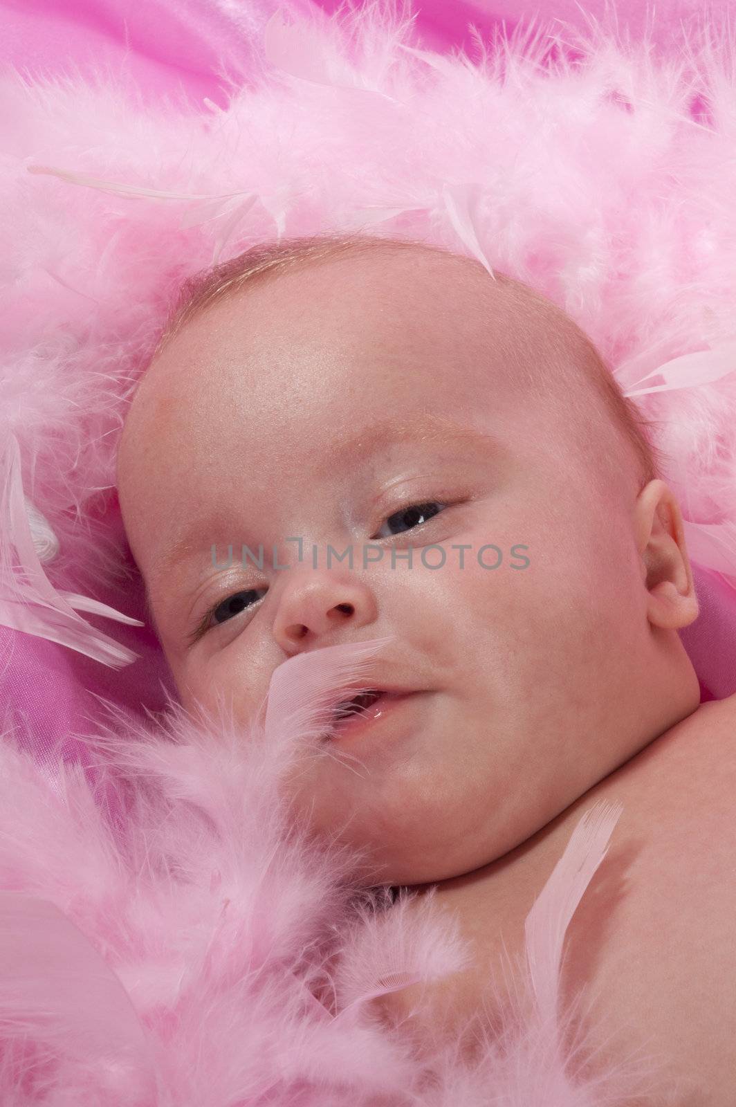 three month old baby laying on pink blanket with pink boa by ladyminnie