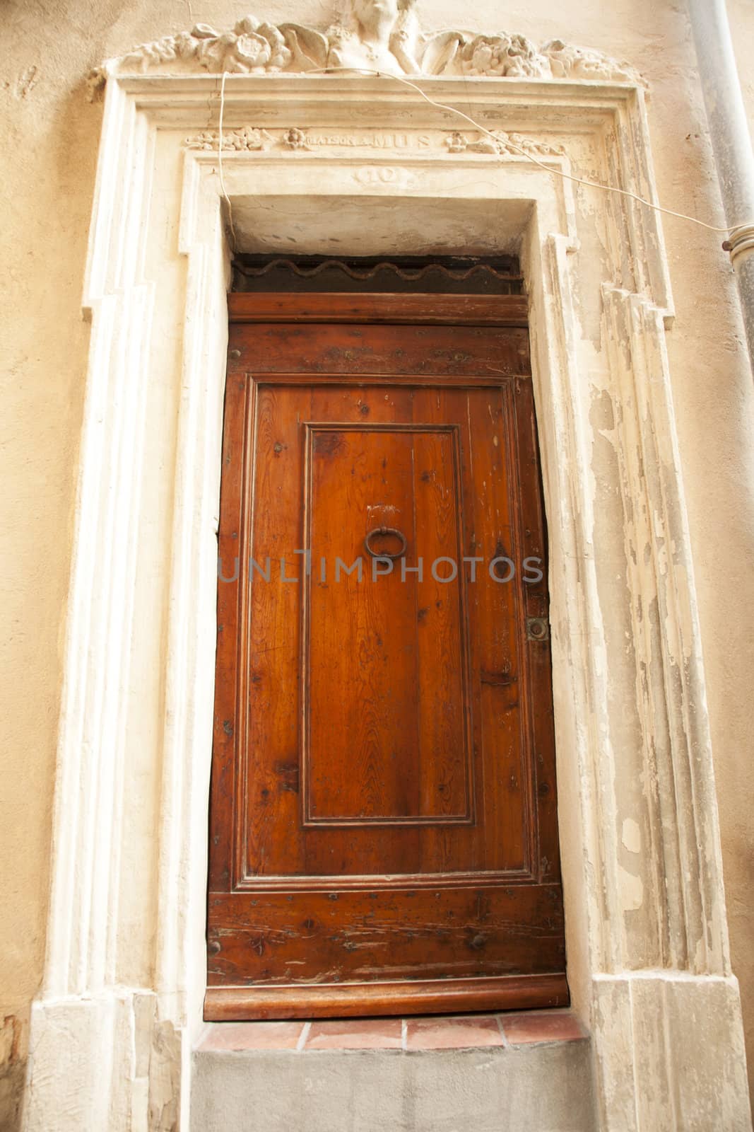 Large Wooden Door by charlotteLake