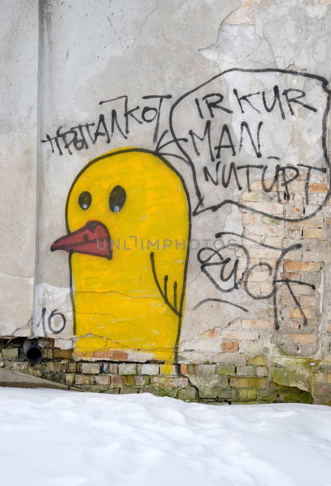 Yellow bird grafitti on the wall in winter and snow