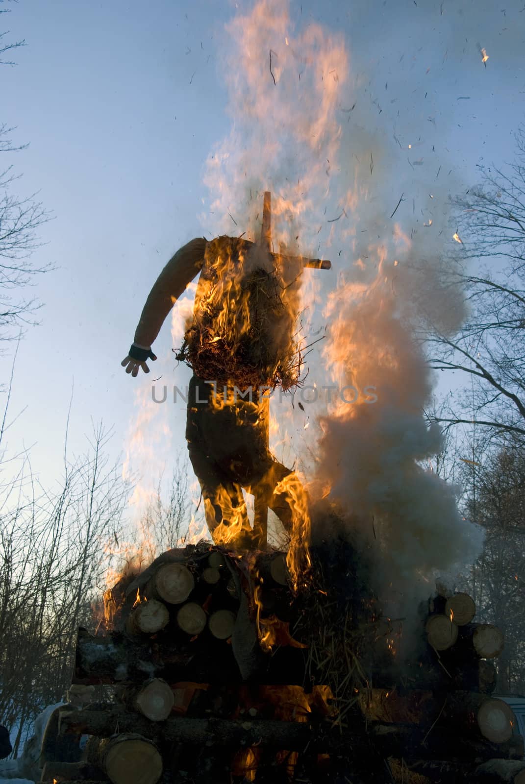 Mardi gras winter jackstraw effigy in spring fire