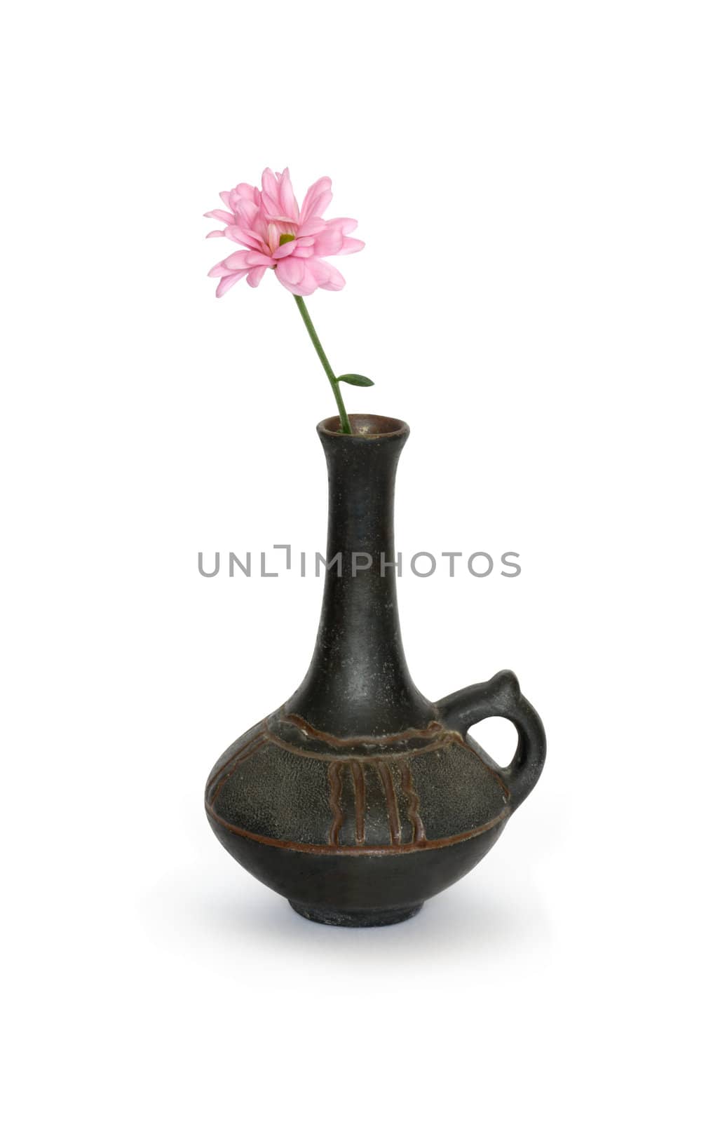 Gerbera daisy inside ancient ceramic vase. Isolated on white with clipping path