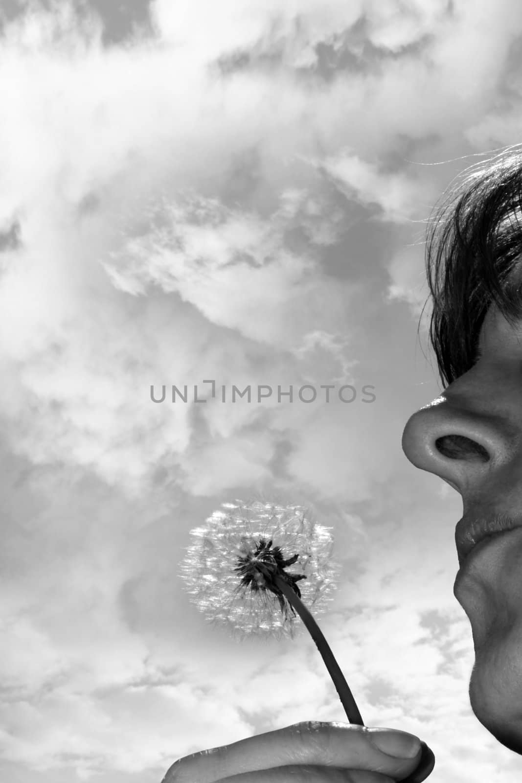a beautiful dandelion being gently blown by a middle aged woman in a garden against a cloudy sky in black and white