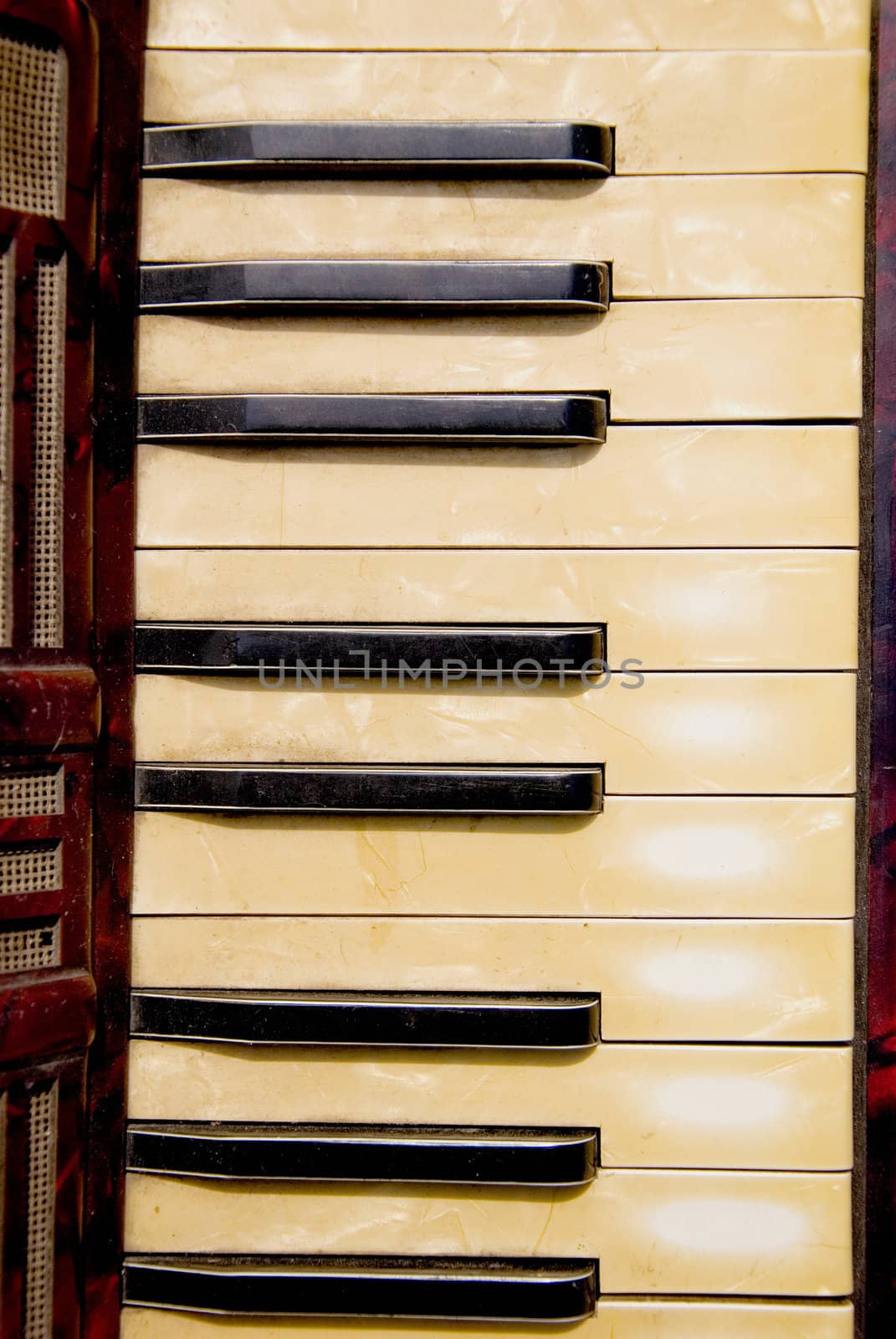 vintage musical instrument accordion keyboard fragment
