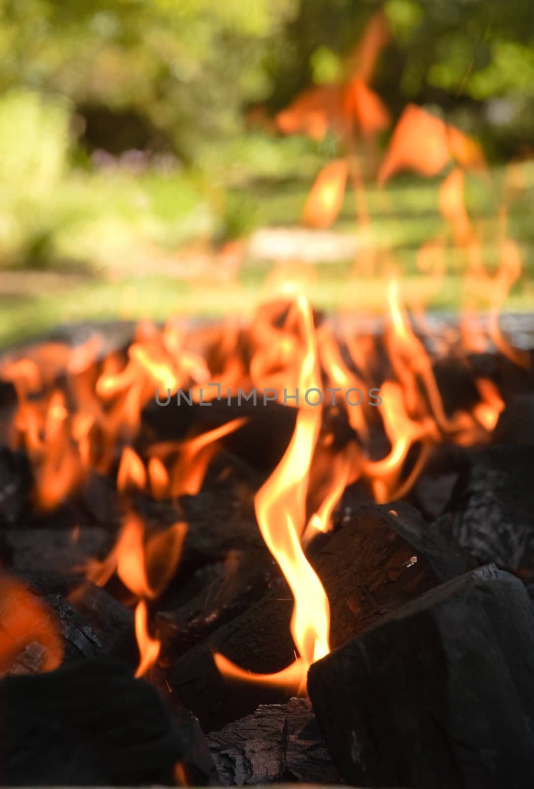 Falmes licking upwards on a burning bed of charcoal briquettes