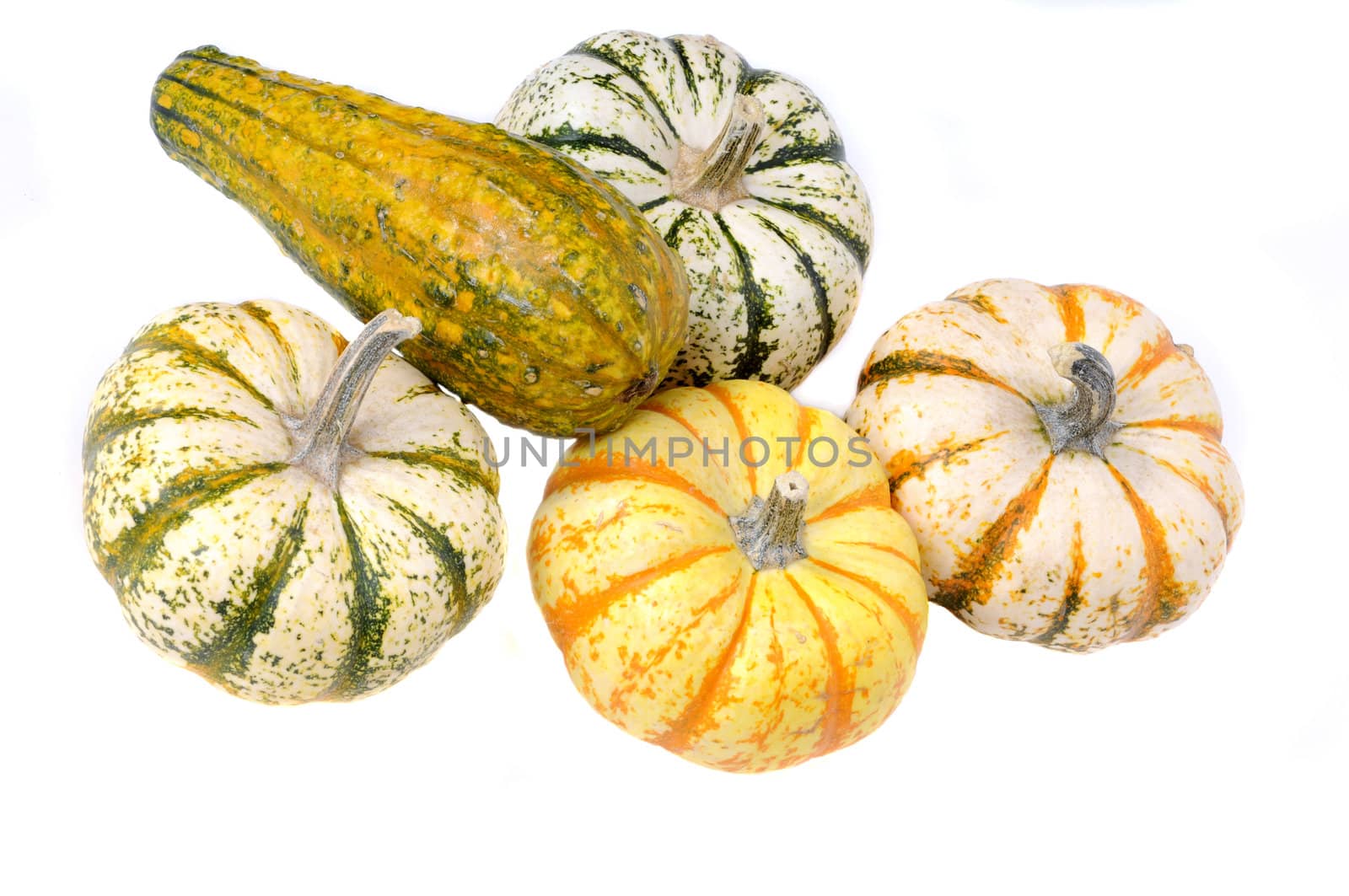 variety of sqush or gourds isolated on a white background