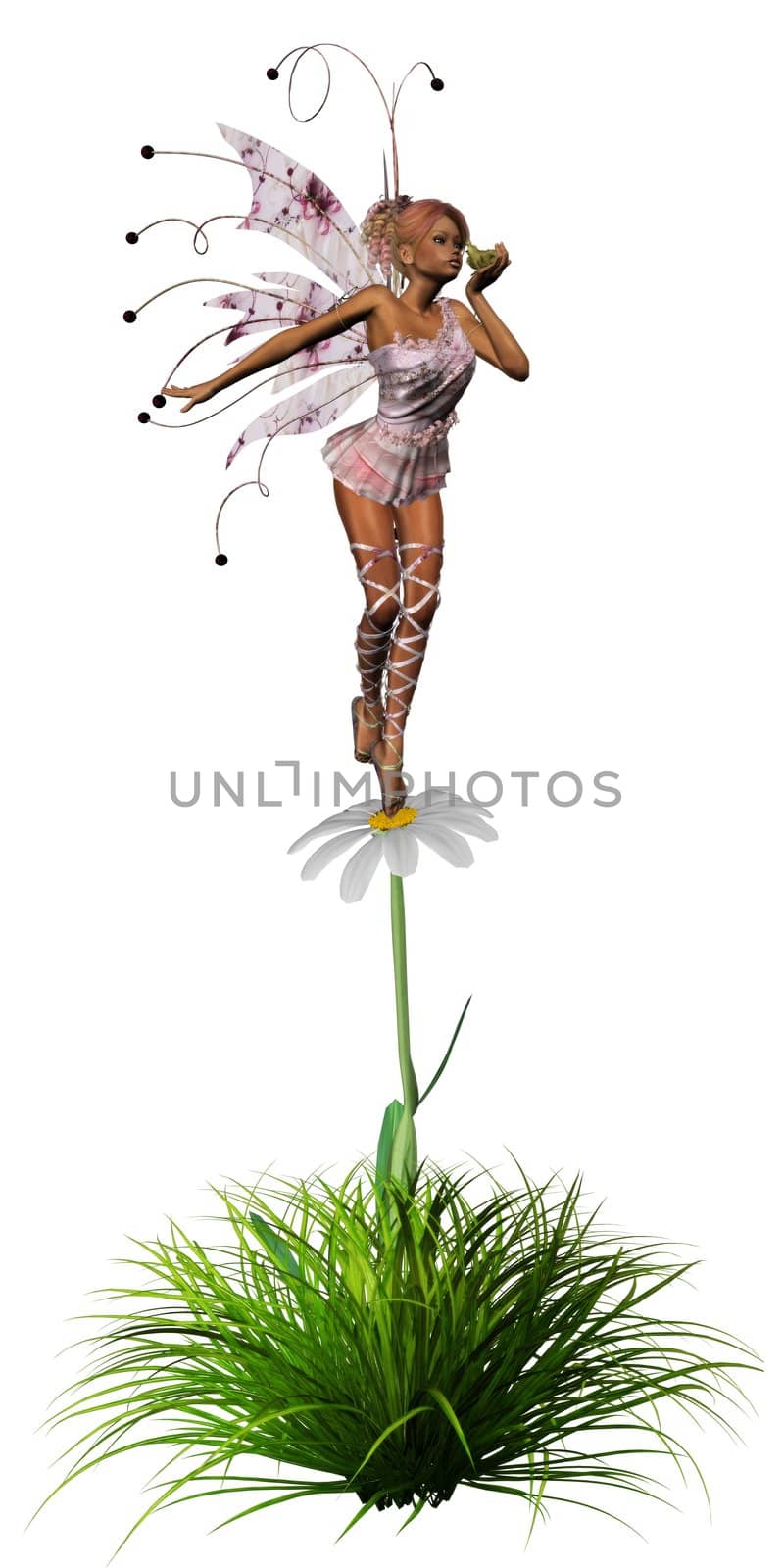 a little fairy with a magic frog - isolated on white