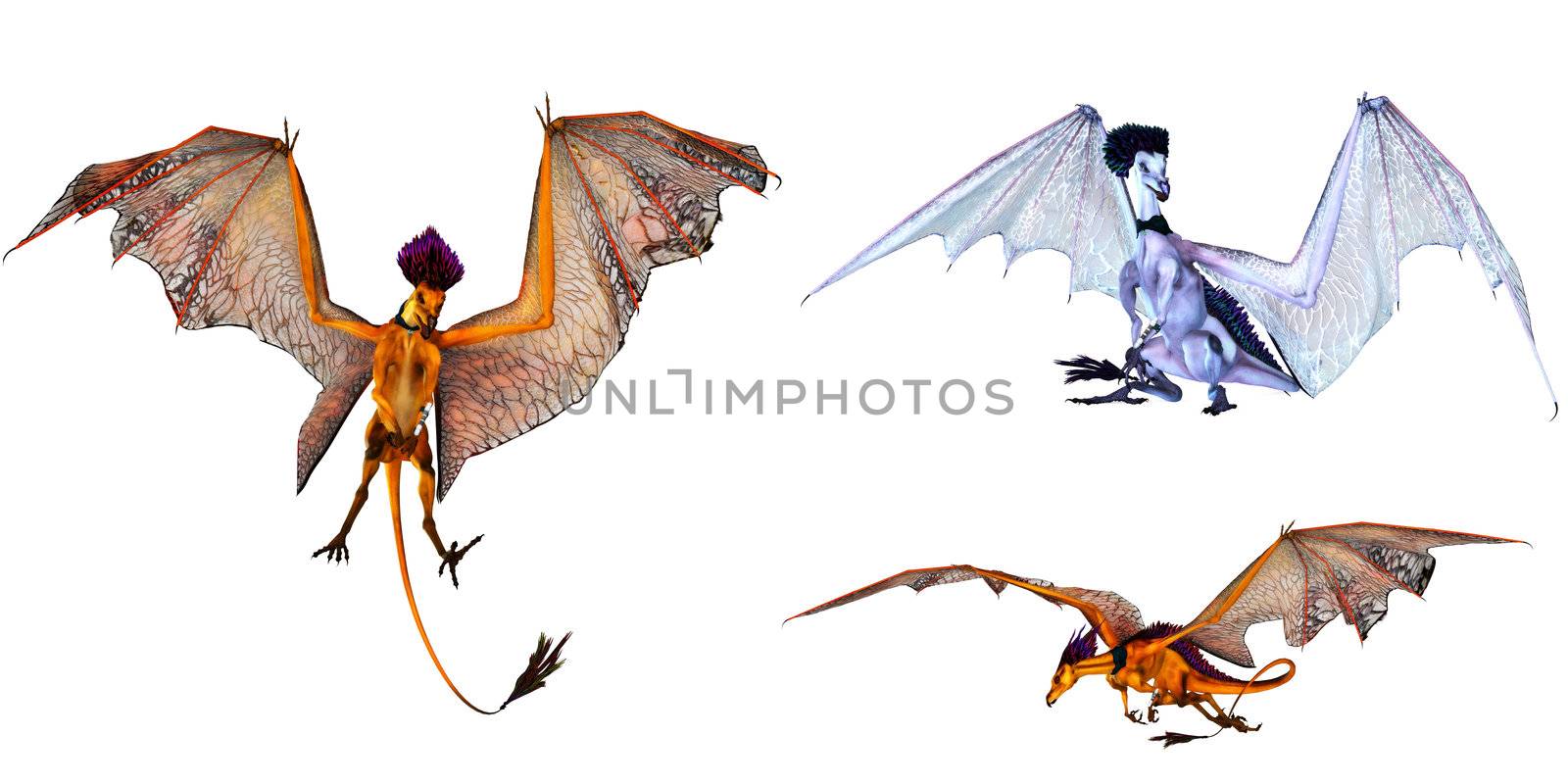 three colorful fantasy dragons - isolated on white