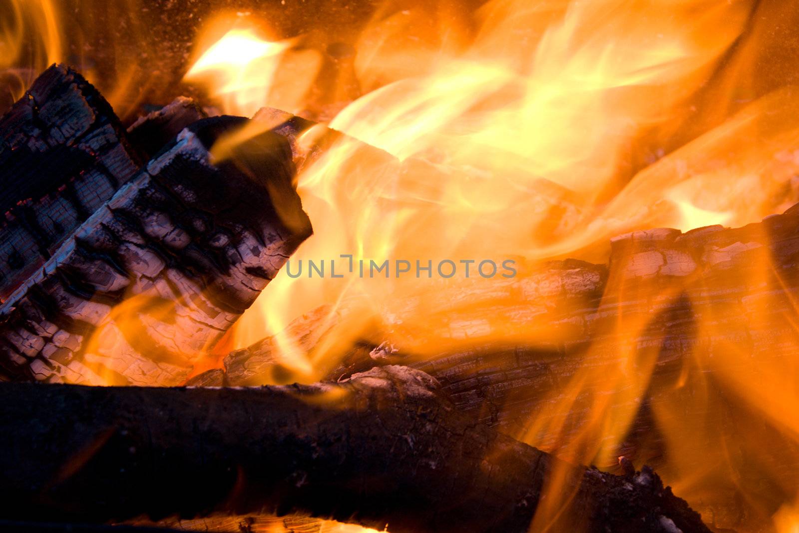 close-up firewood in orange fire