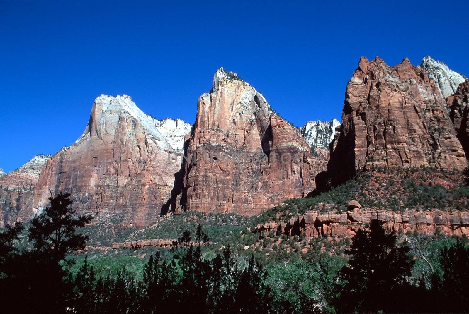 Zion National Park is a United States National Park located in the Southwestern United States, near Springdale, Utah.