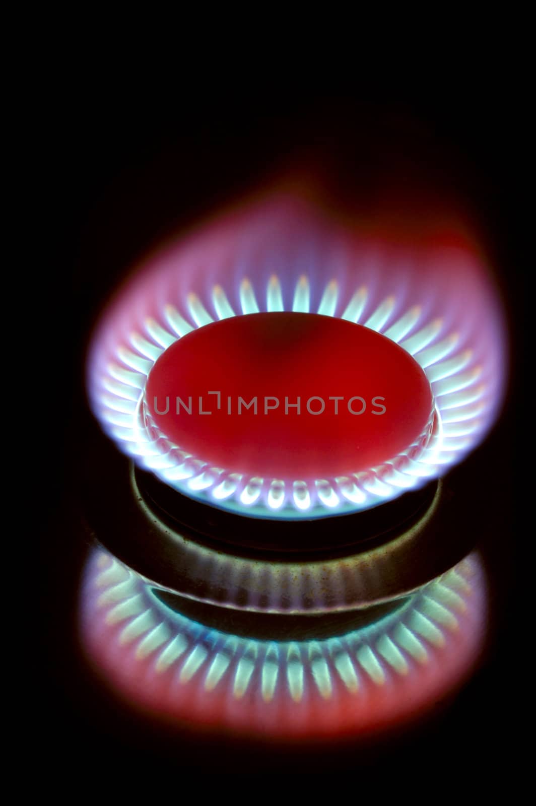 Close up of the flame of a gas cooker, with its reflection, on a black background.