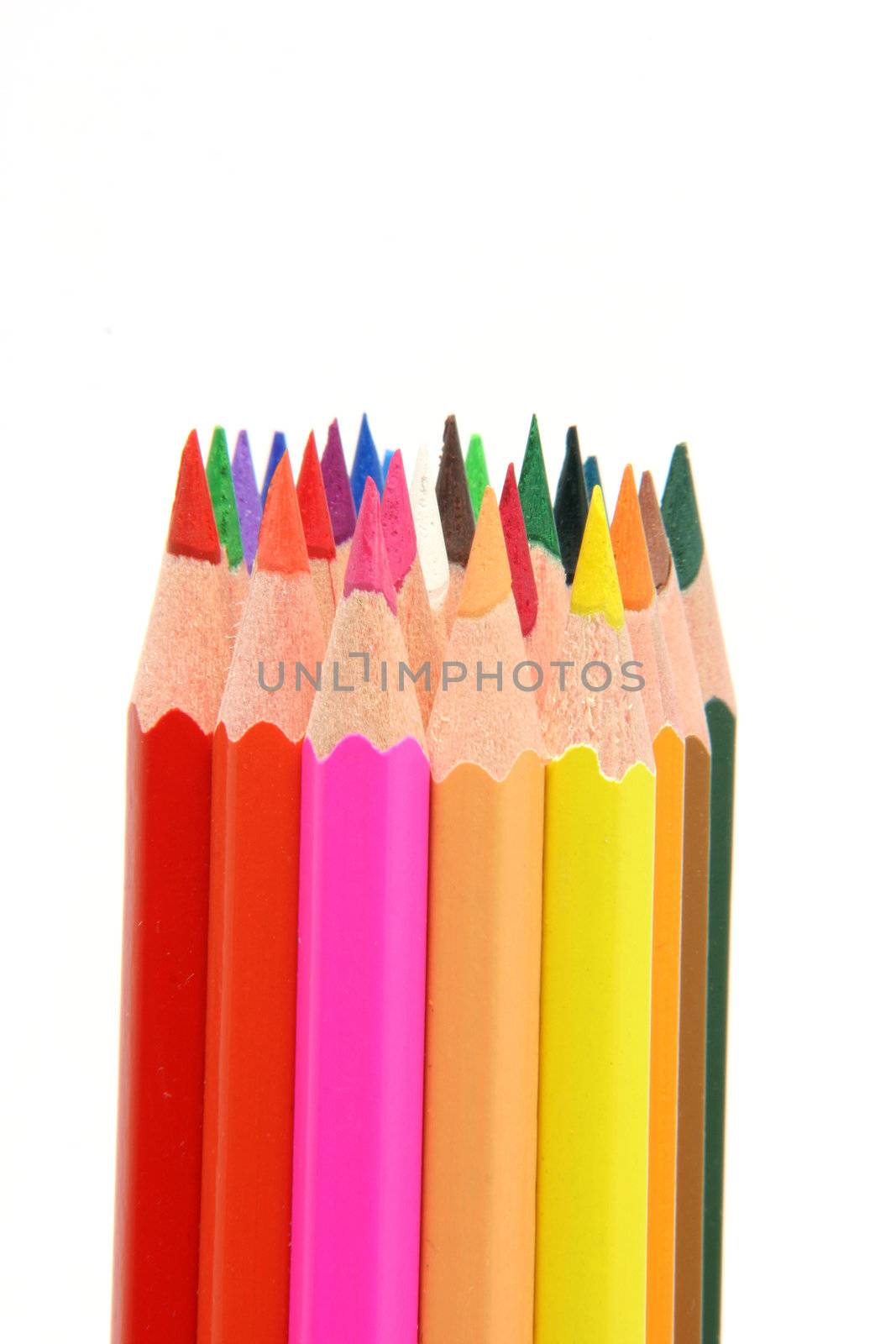 isolated color pencils sharpened on white backgroud with copy space