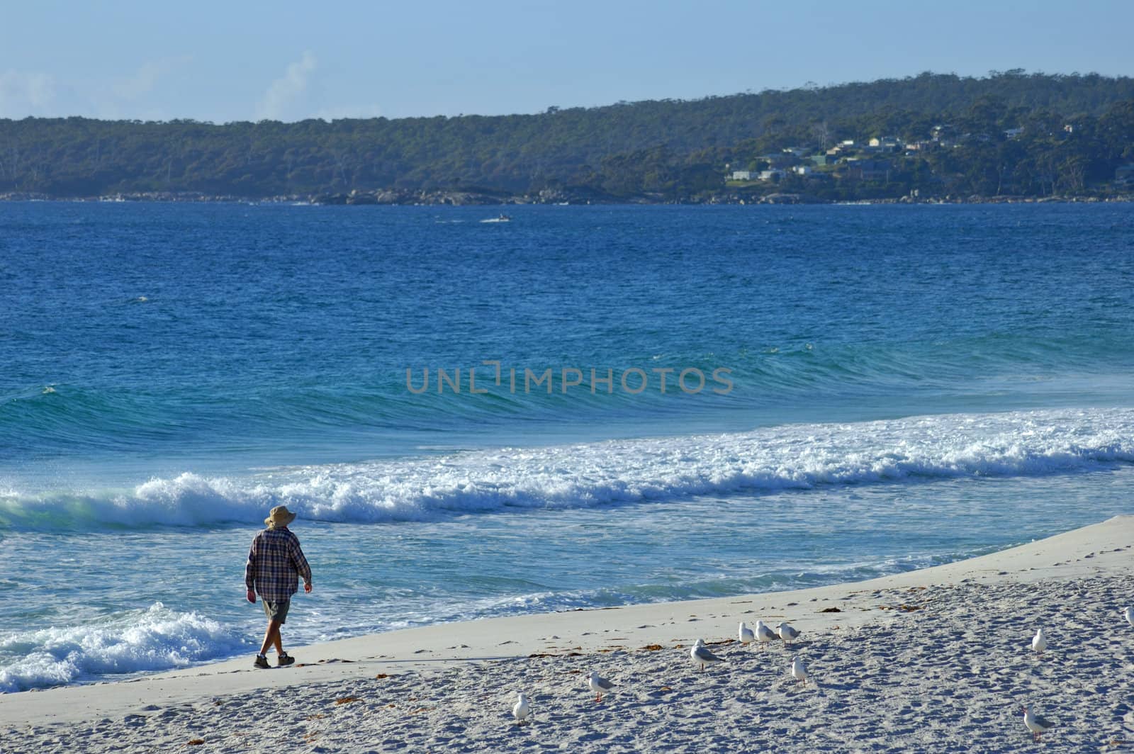 A solitary man walks along a sandy beach in the early morning, watched by a small flock of seagulls. Space for copy in the sky.