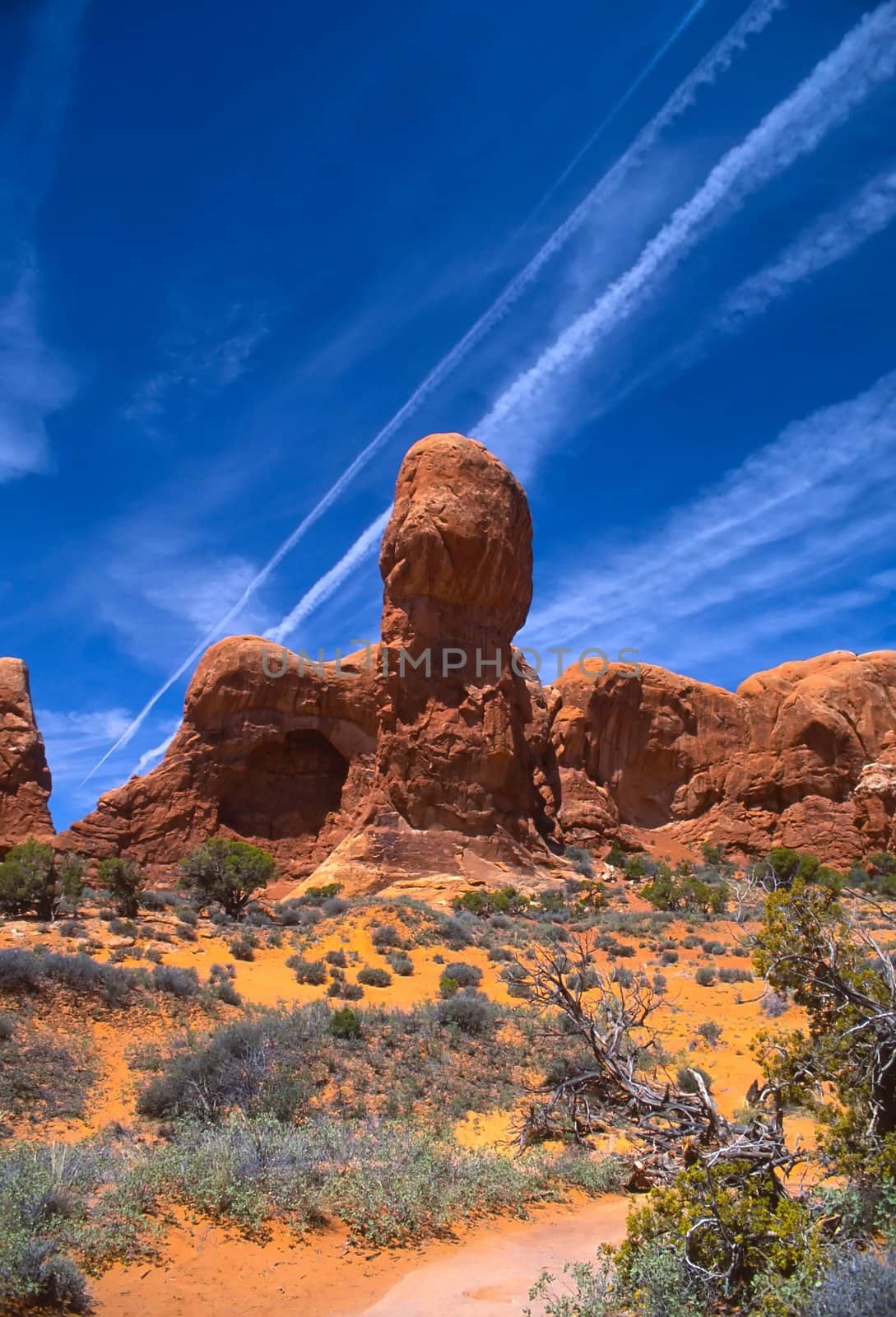 Arches National Park preserves over 2,000 natural sandstone arches, including the world-famous Delicate Arch, in addition to a variety of unique geological resources and formations.